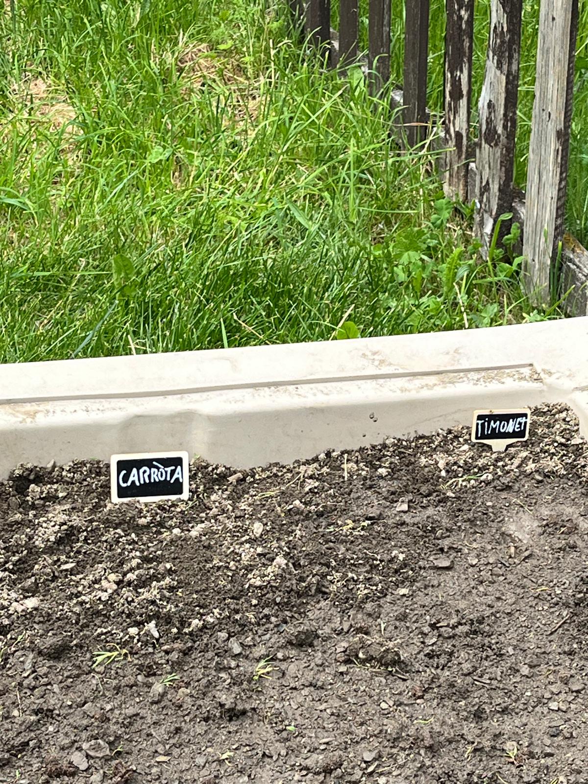 Imatge de WhatsApp 2025-06-03 a les 20.15.17_3efc2c5a