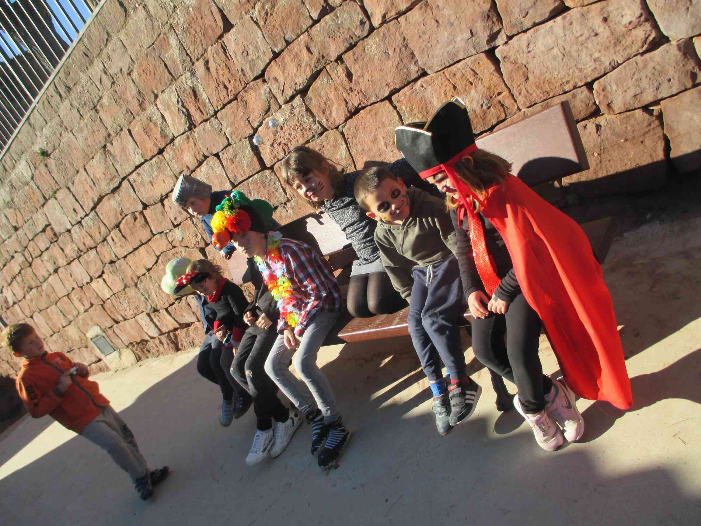 ordre_dali_festa (13) (Copy)