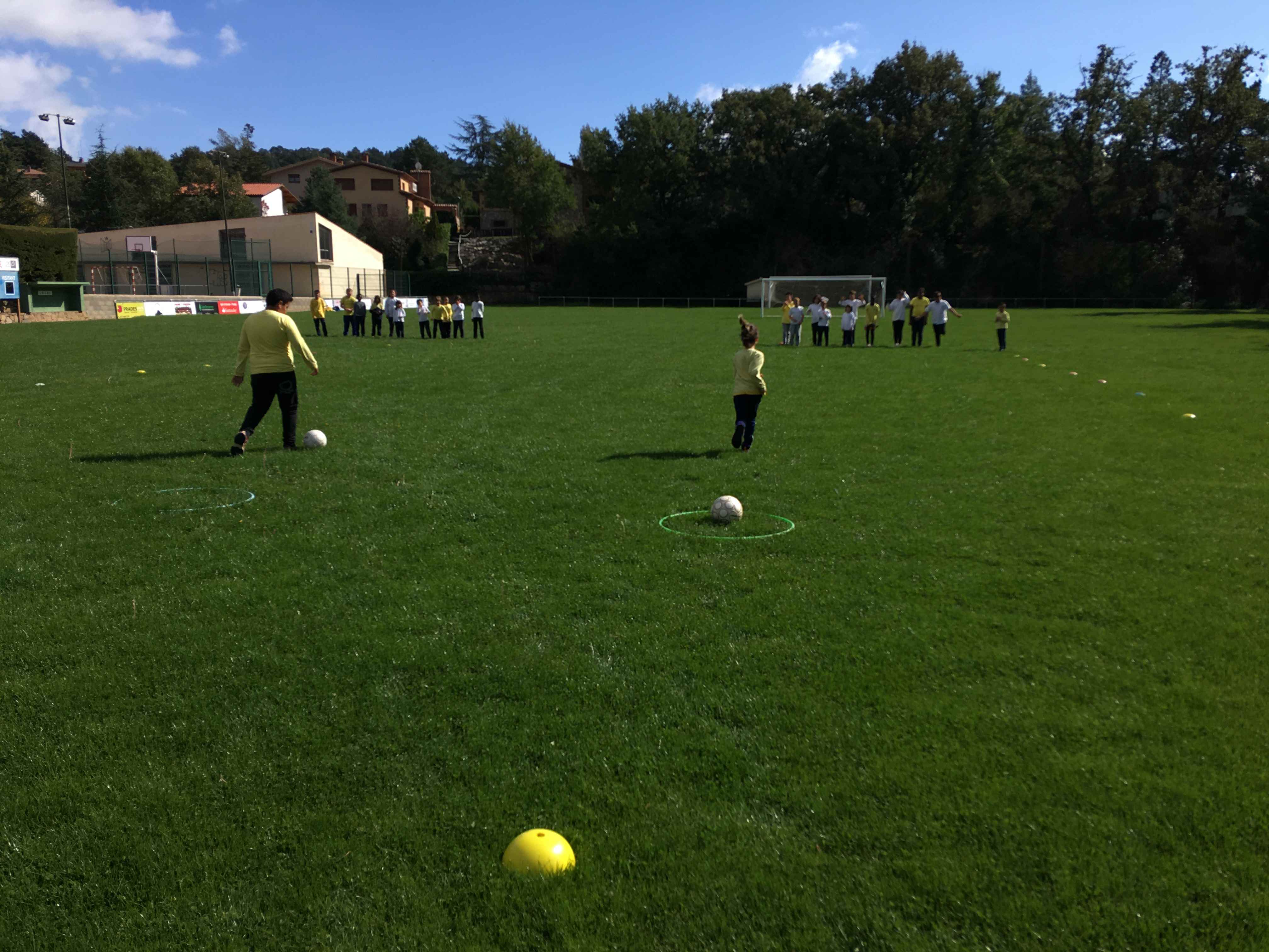 EF 1R TRI (10) (Copy)