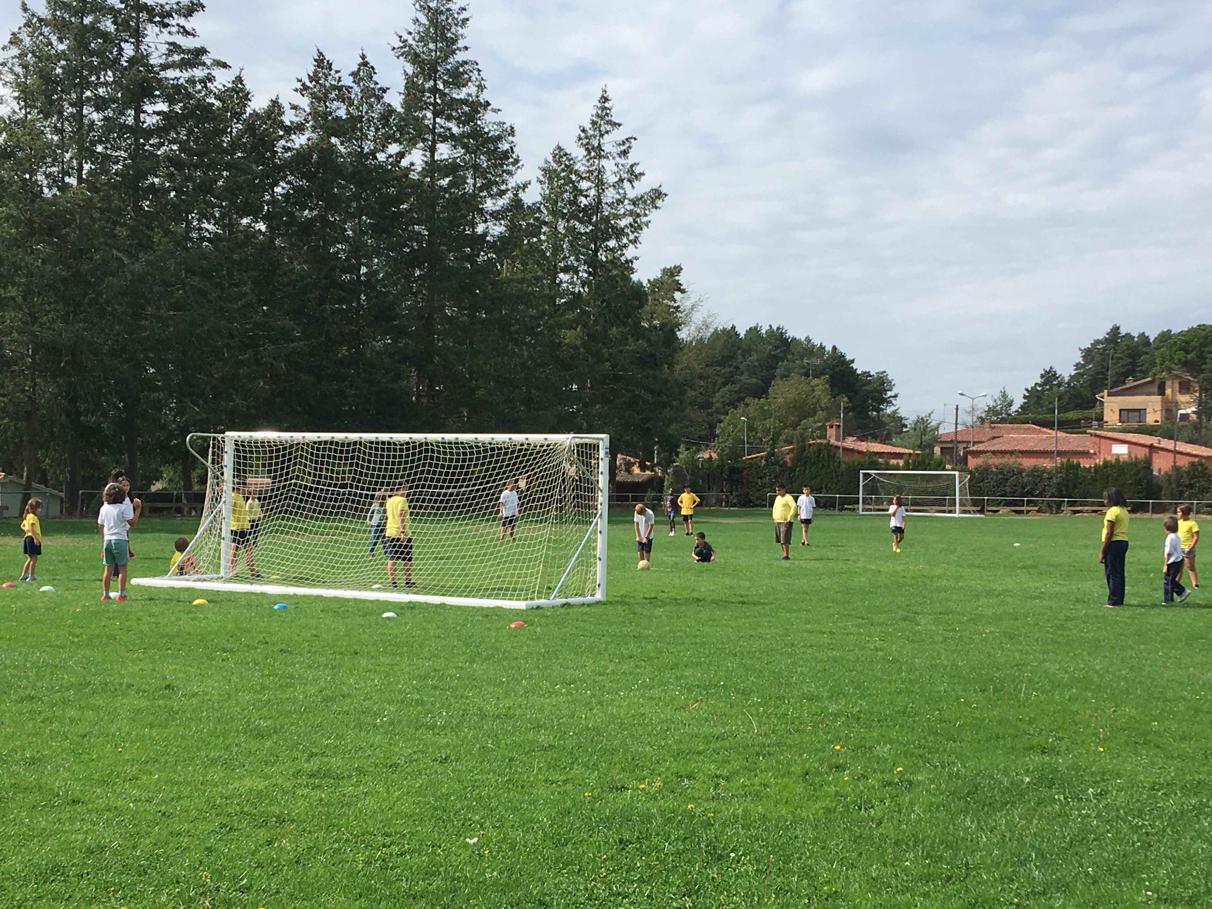 EF 1R TRI (2) (Copy)