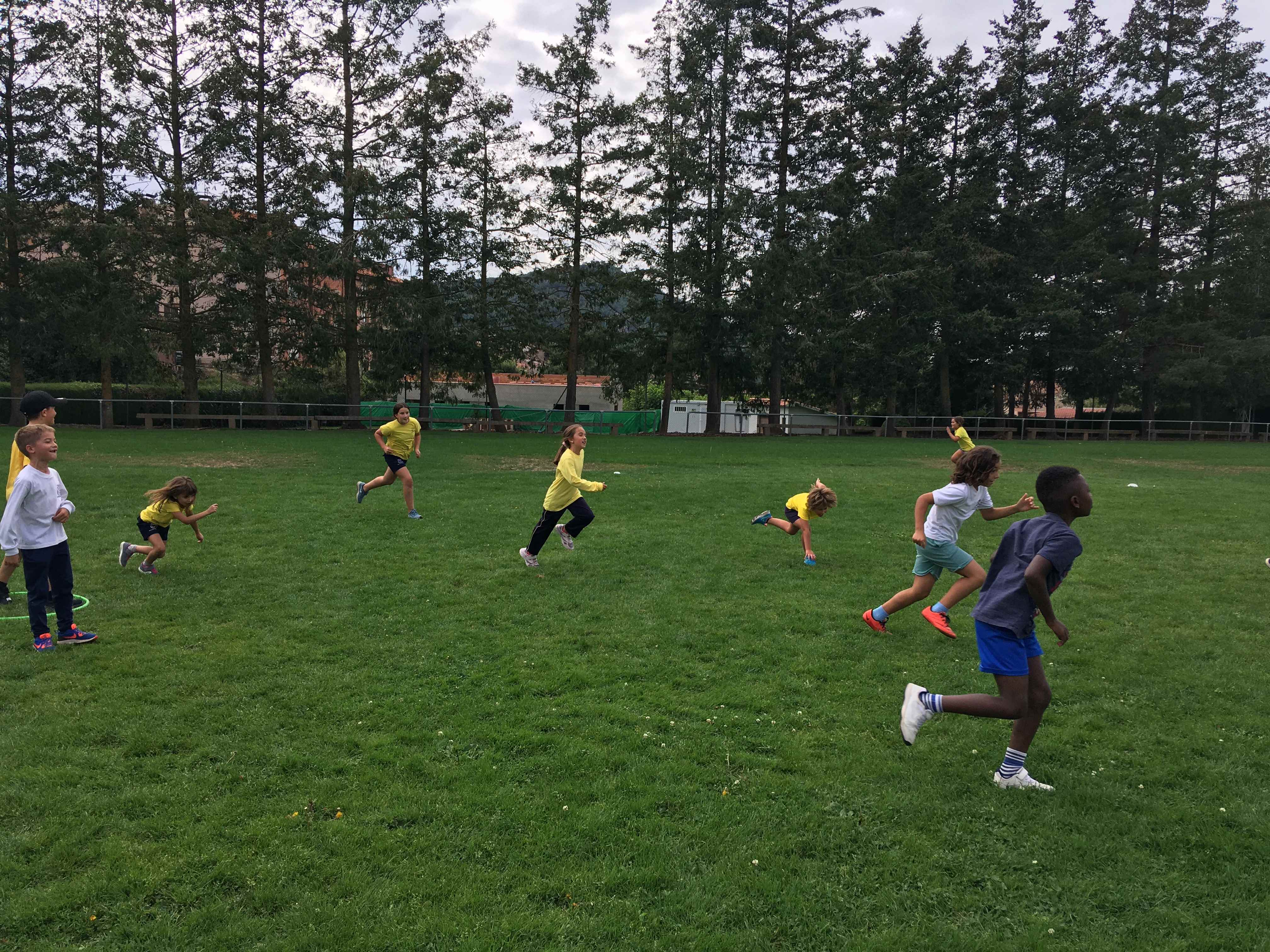 EF 1R TRI (4) (Copy)