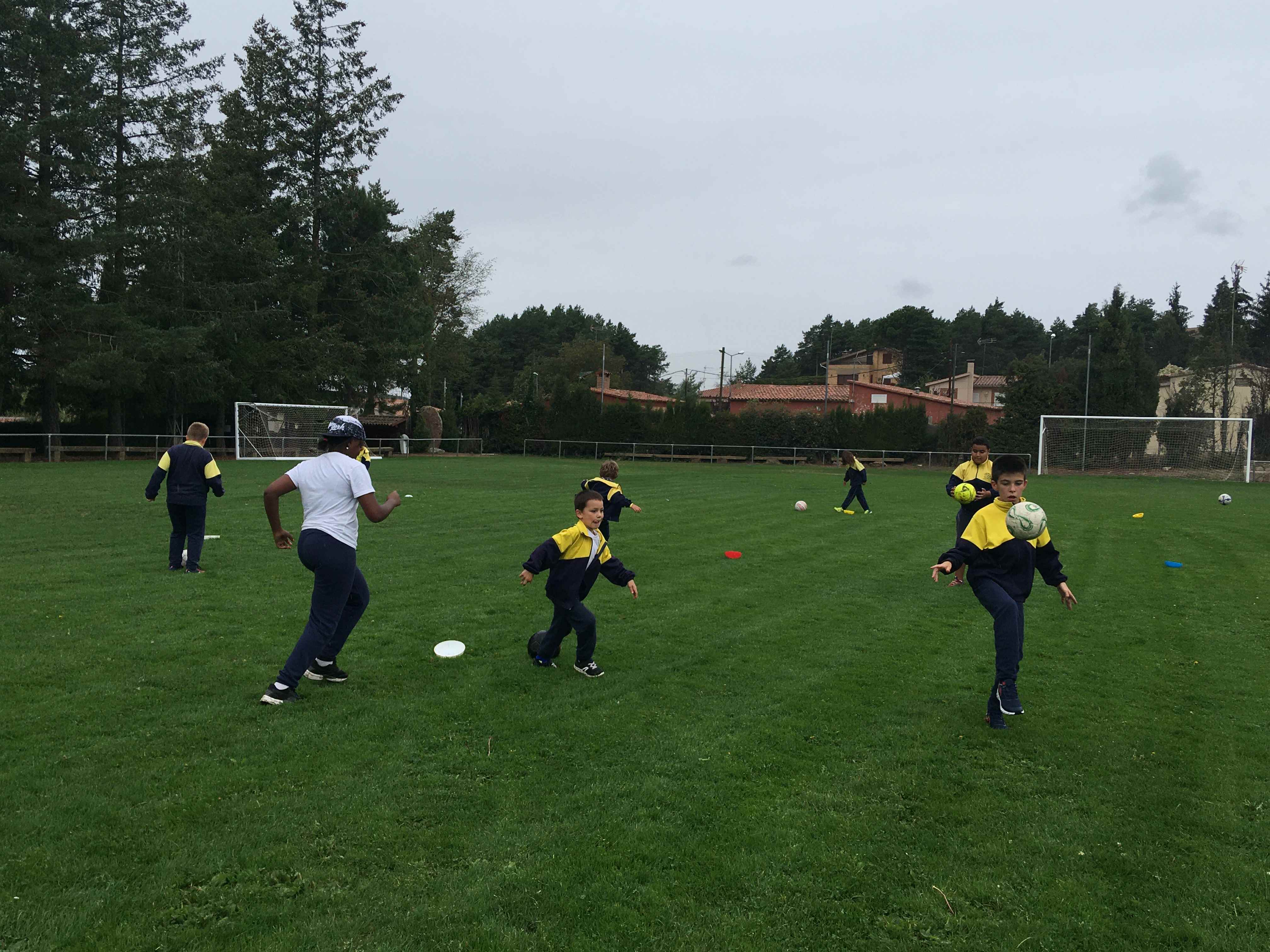 EF 1R TRI (9) (Copy)