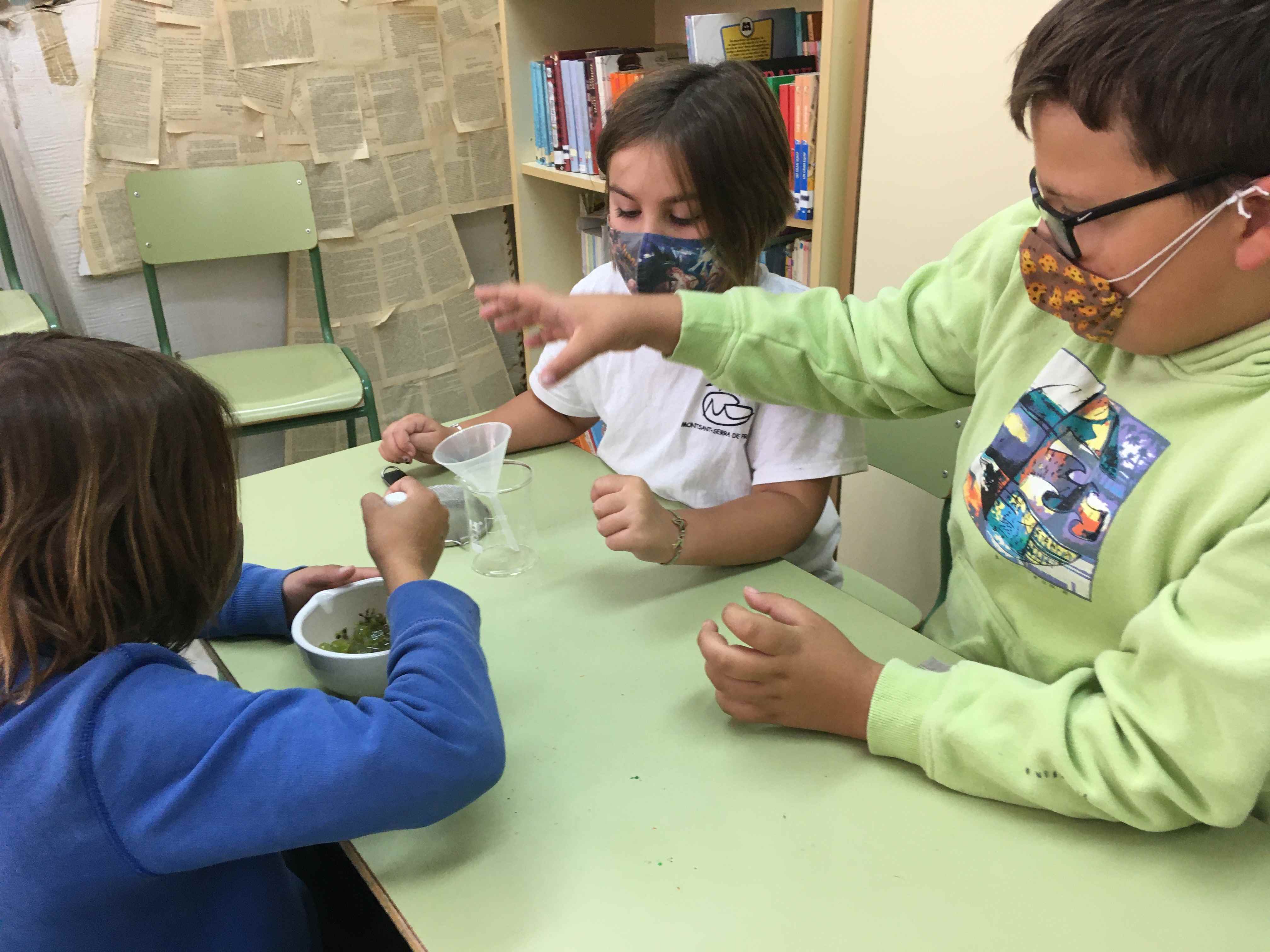 FERMENTACIO MOST (1) (Copy)