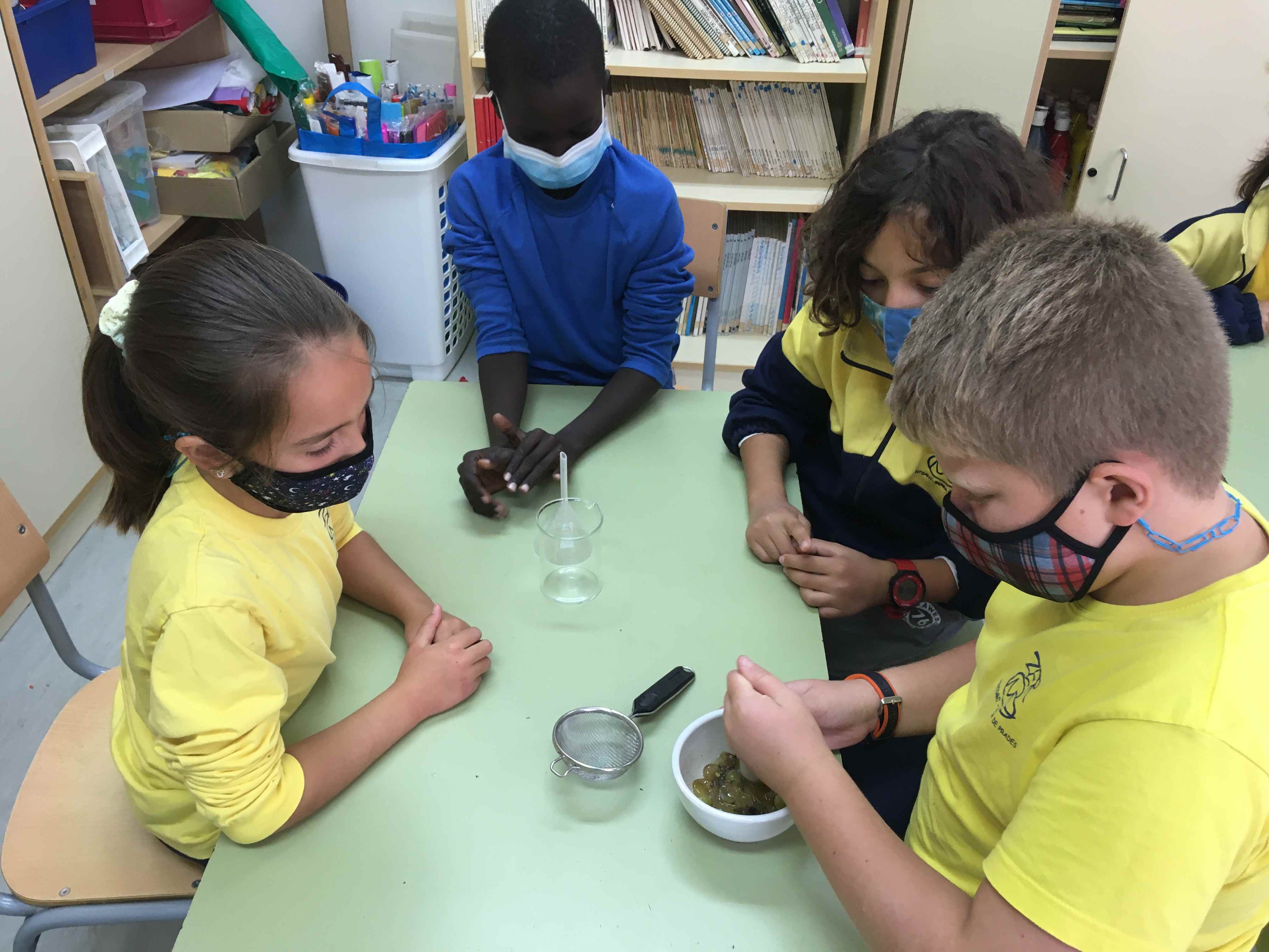 FERMENTACIO MOST (10) (Copy)