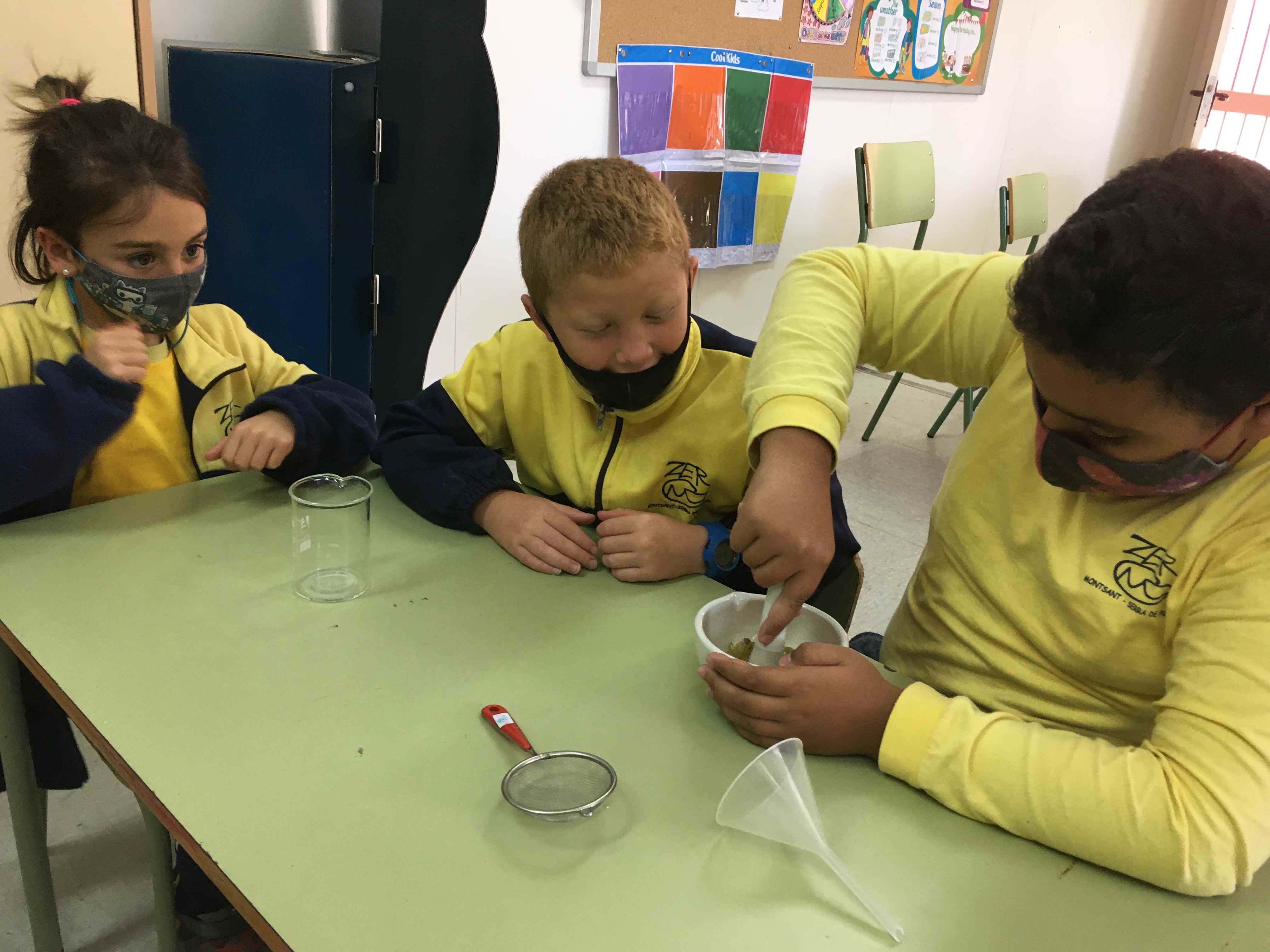 FERMENTACIO MOST (11) (Copy)