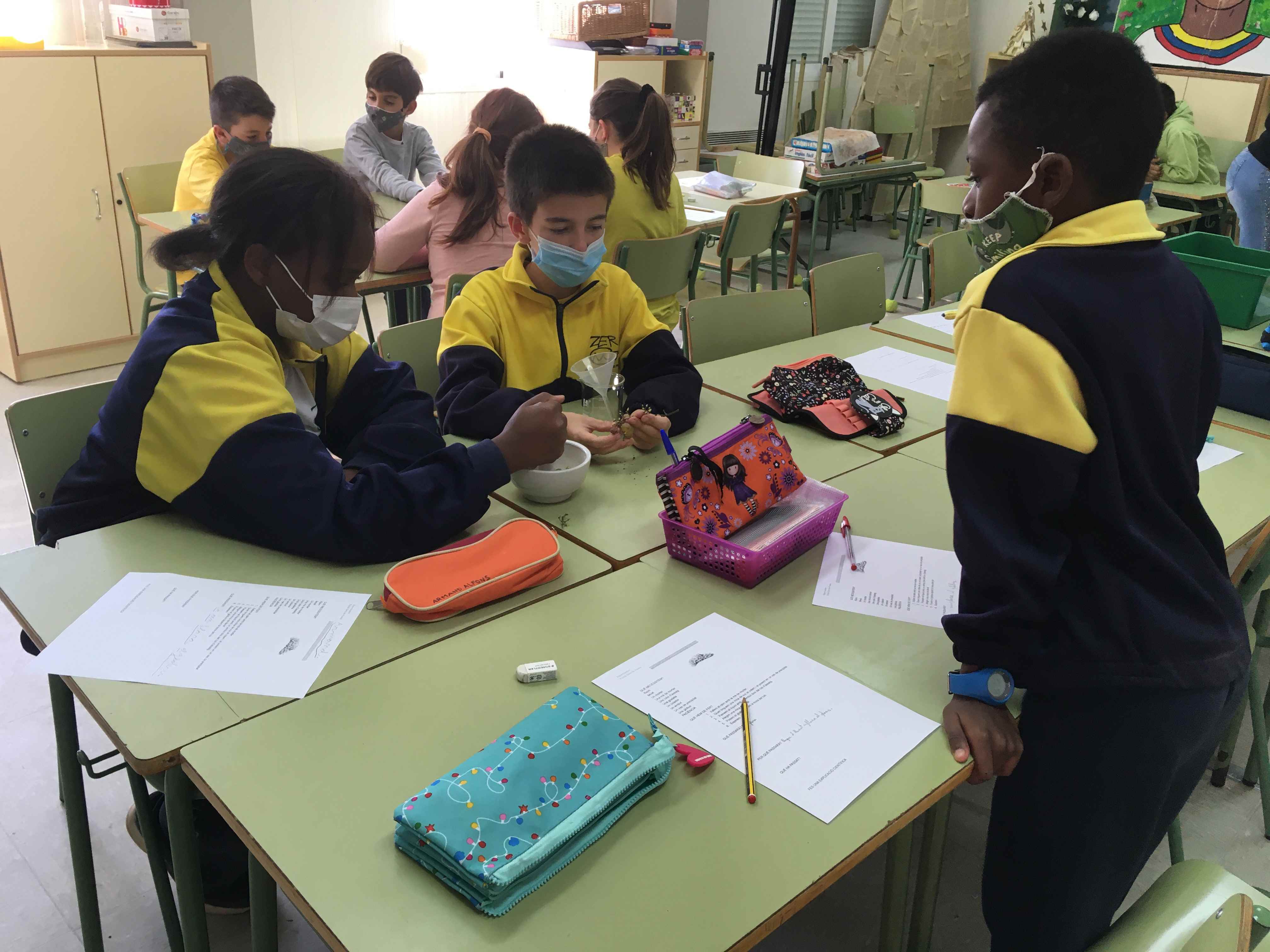 FERMENTACIO MOST (3) (Copy)