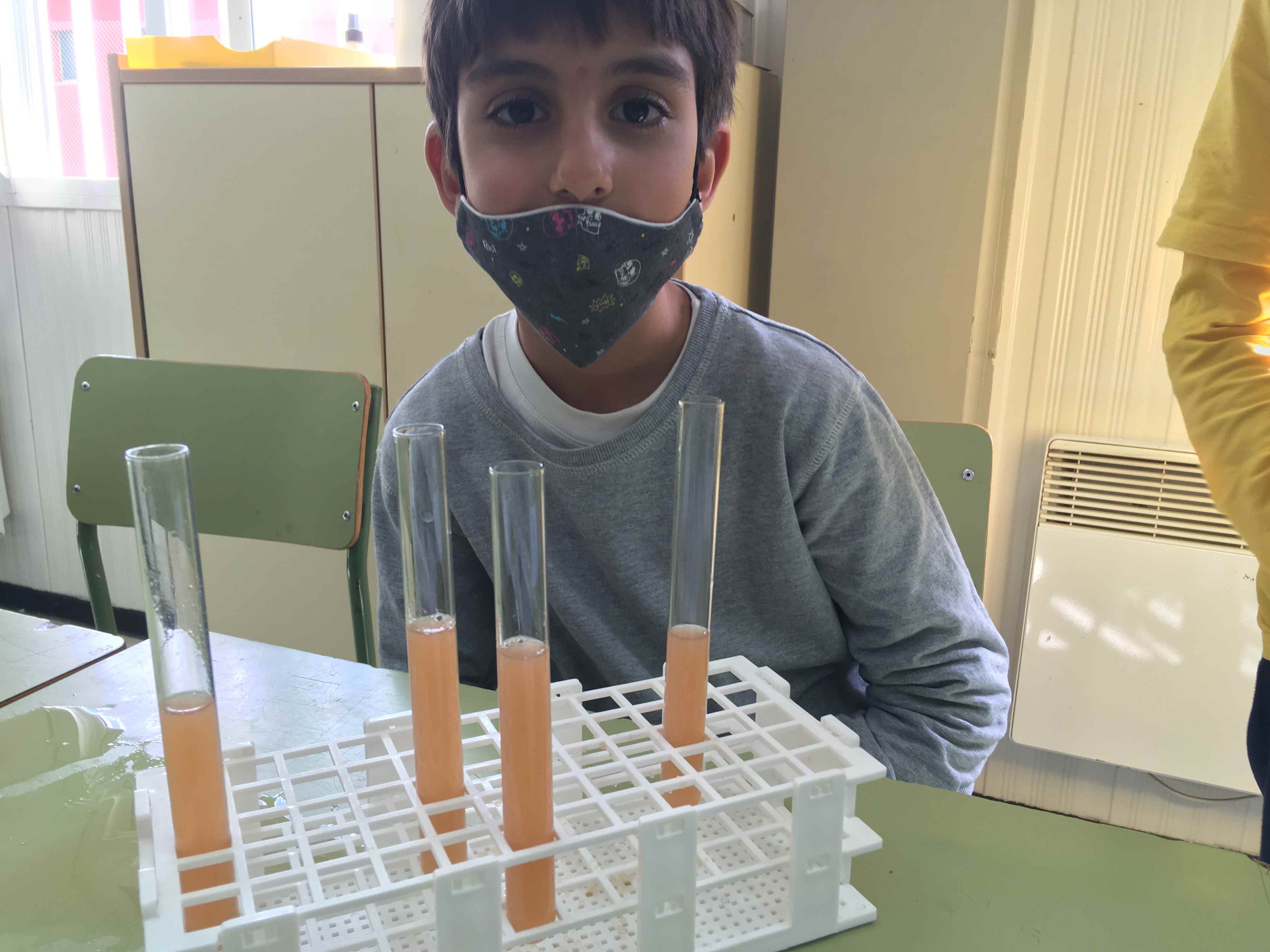 FERMENTACIO MOST (6) (Copy)