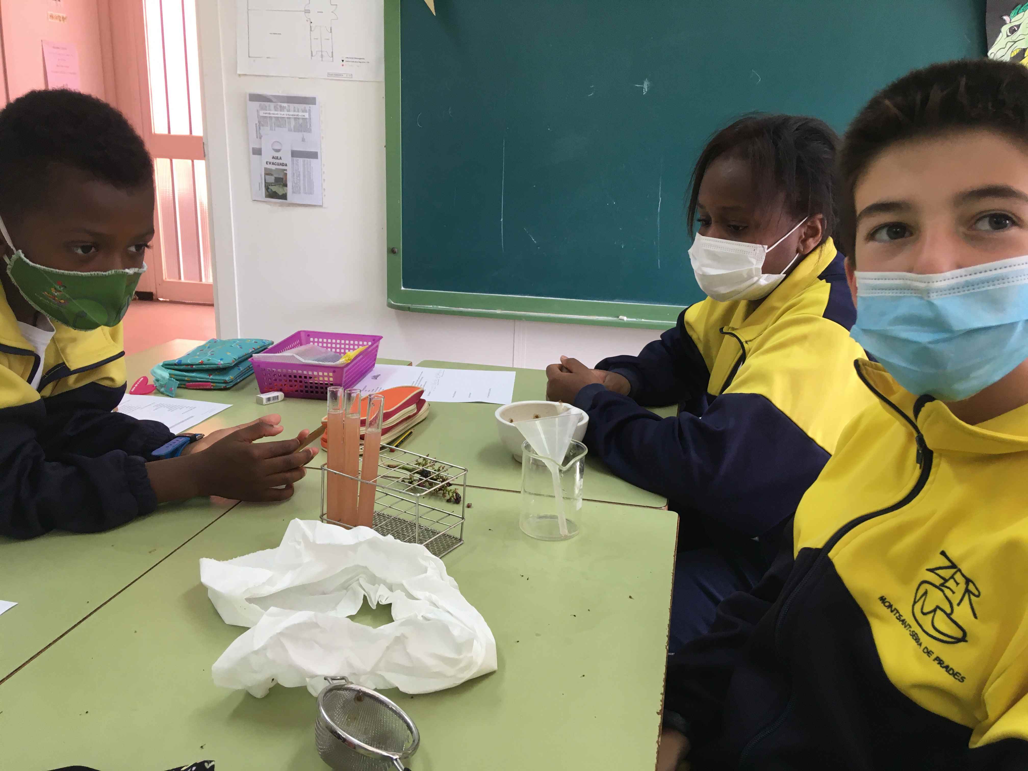 FERMENTACIO MOST (7) (Copy)