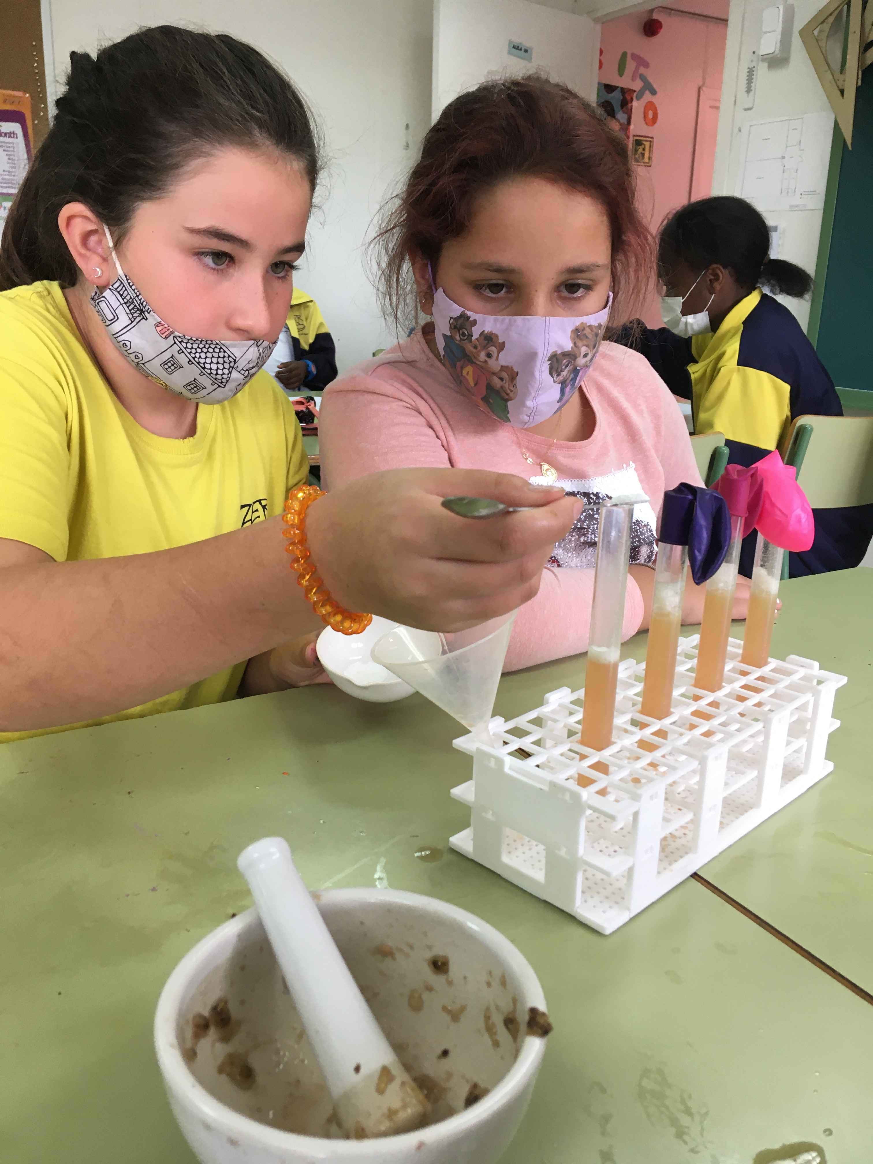 FERMENTACIO MOST (8) (Copy)