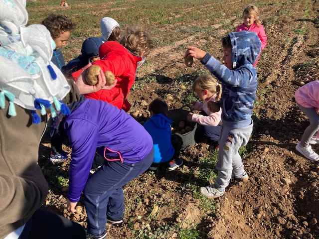 TRUMFOS IGP (1) (Copy)