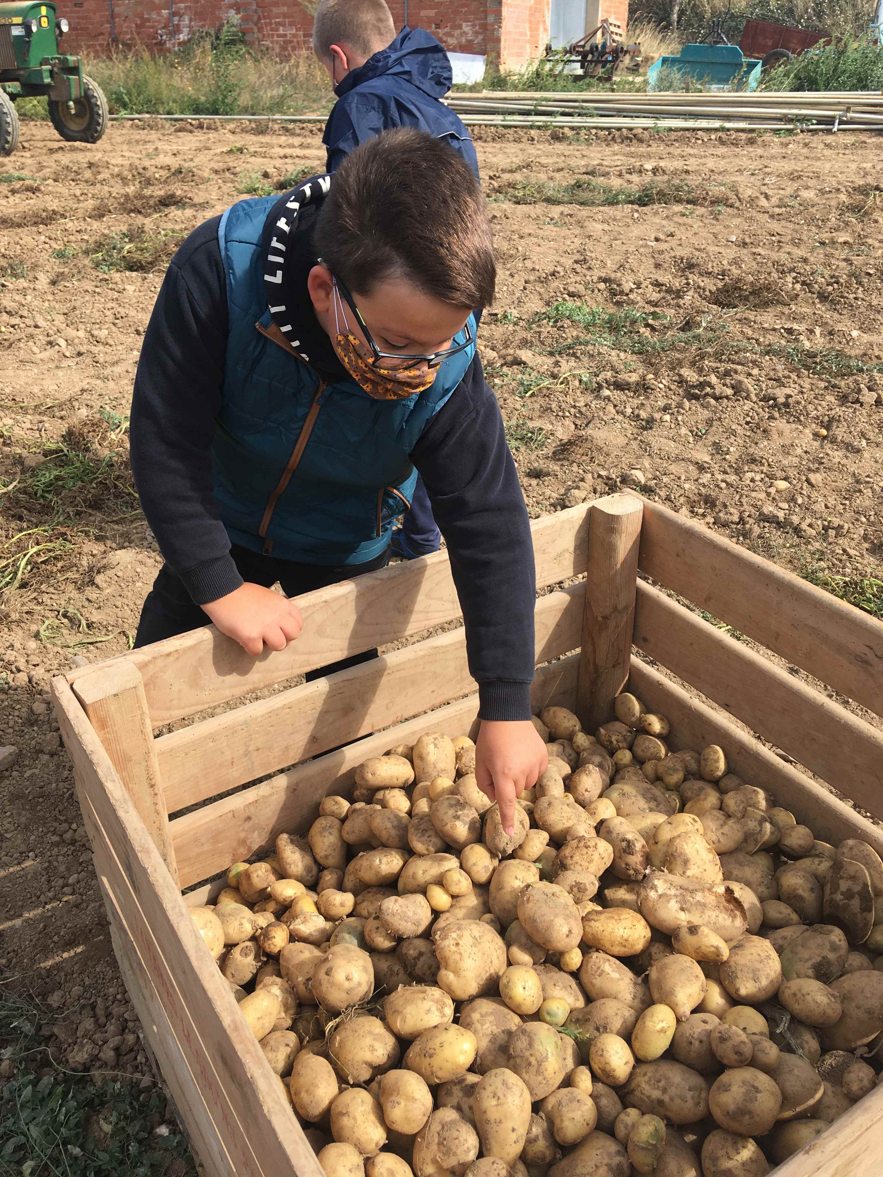 TRUMFOS IGP (5) (Copy)