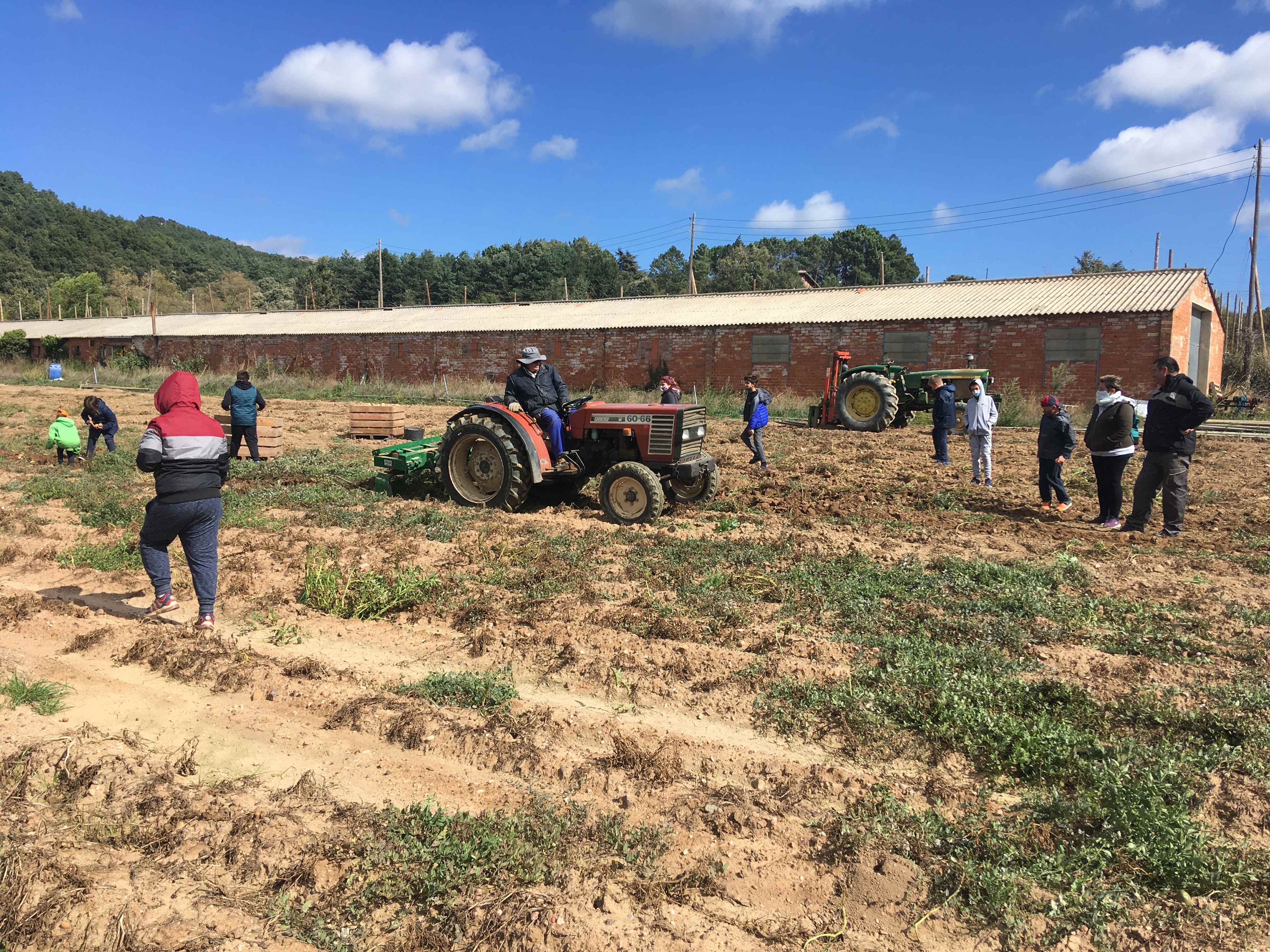 TRUMFOS IGP (6) (Copy)