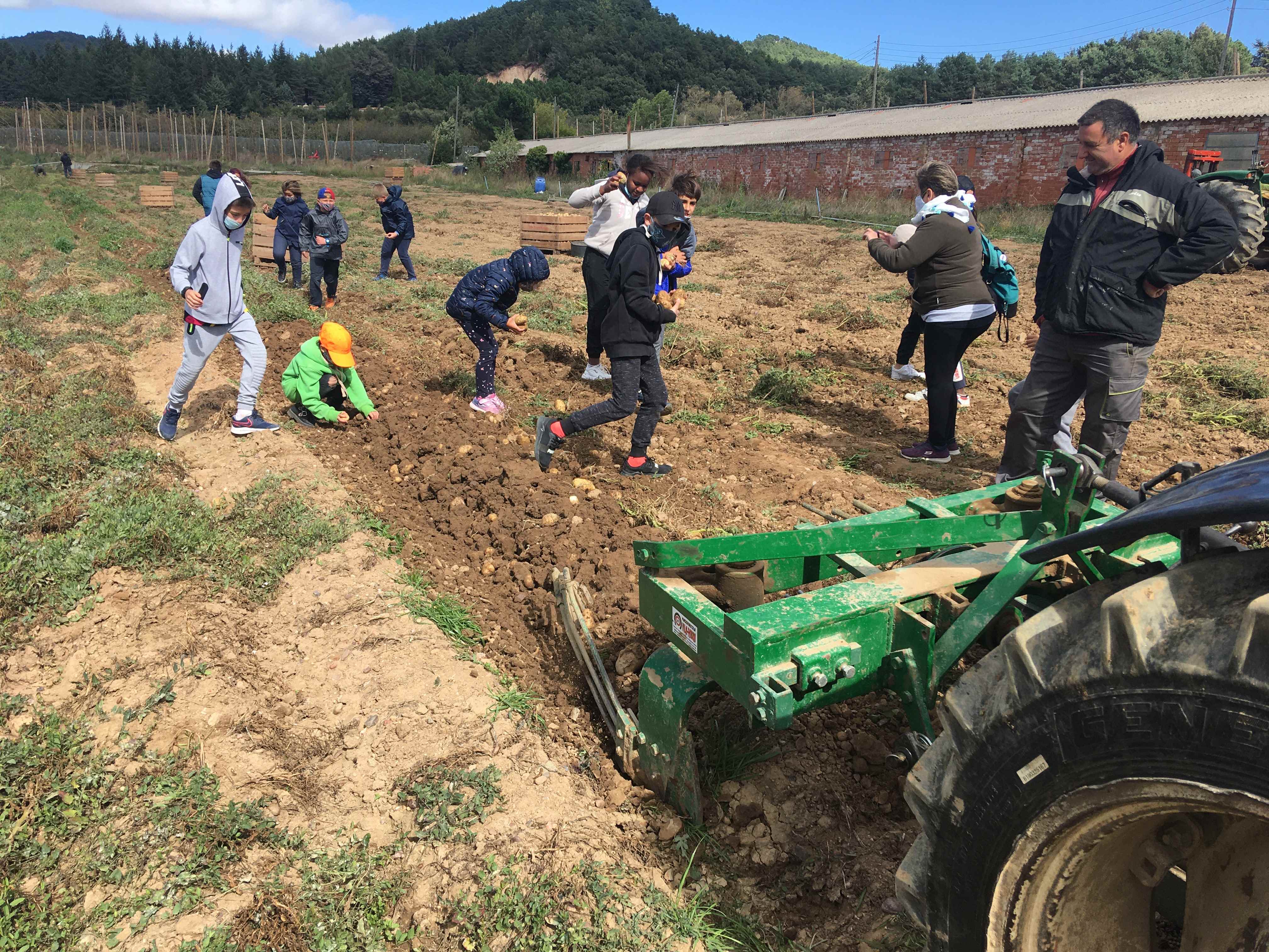 TRUMFOS IGP (7) (Copy)