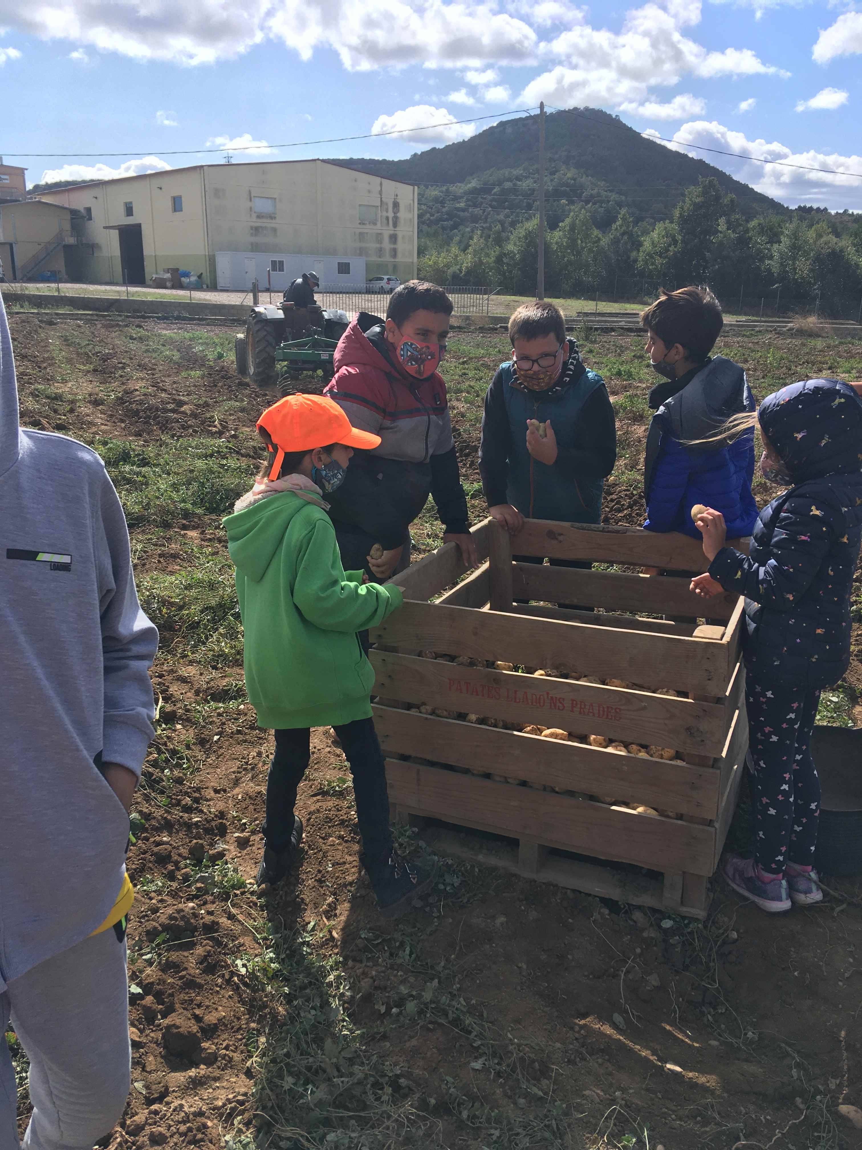 TRUMFOS IGP (8) (Copy)