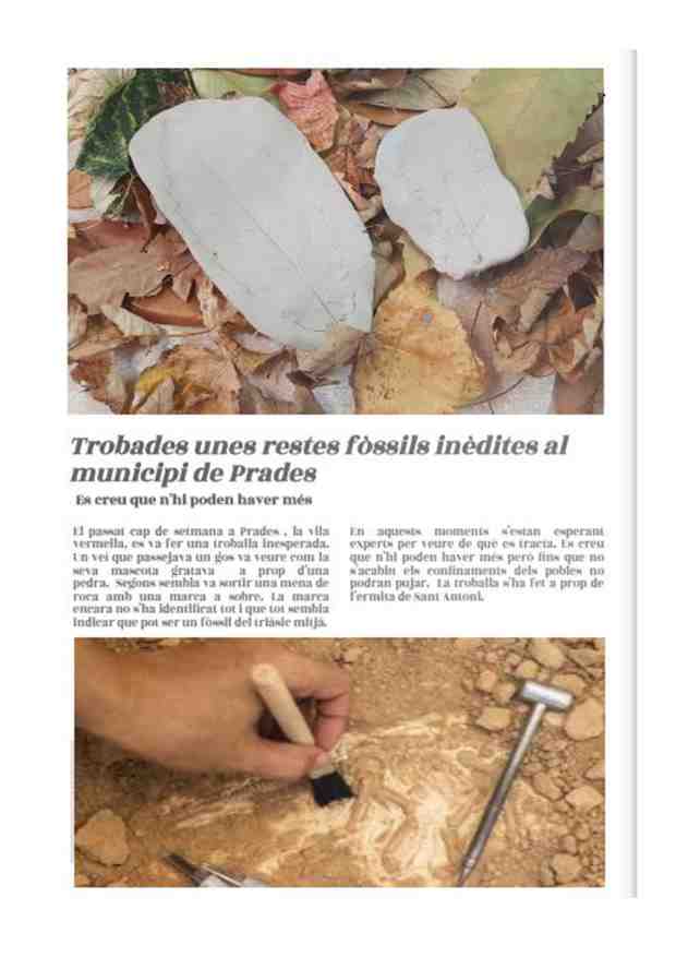 diari_inici_projecte_poble_page-0002 (Copy)