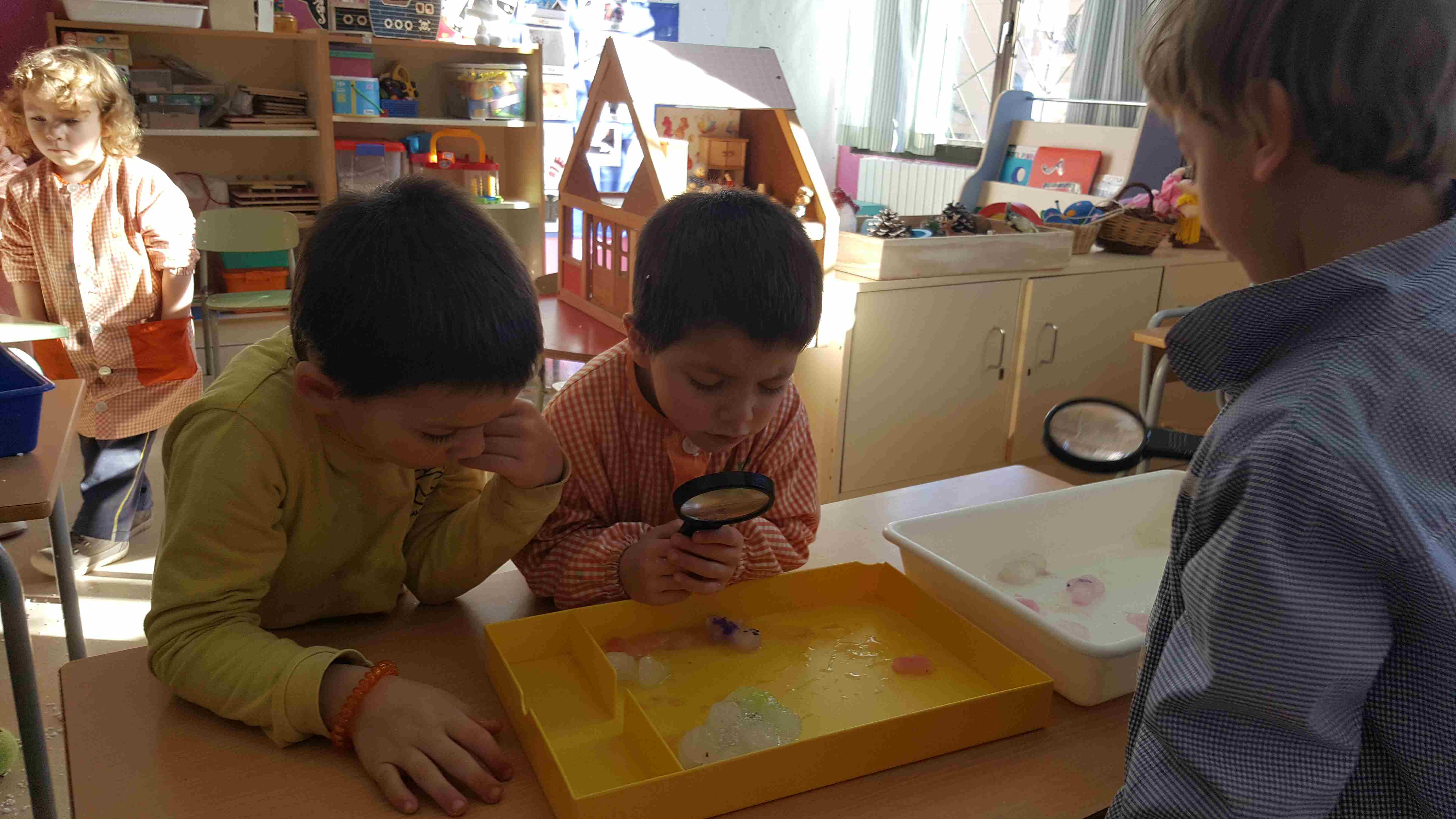 20210119_151621_001 (Copy)