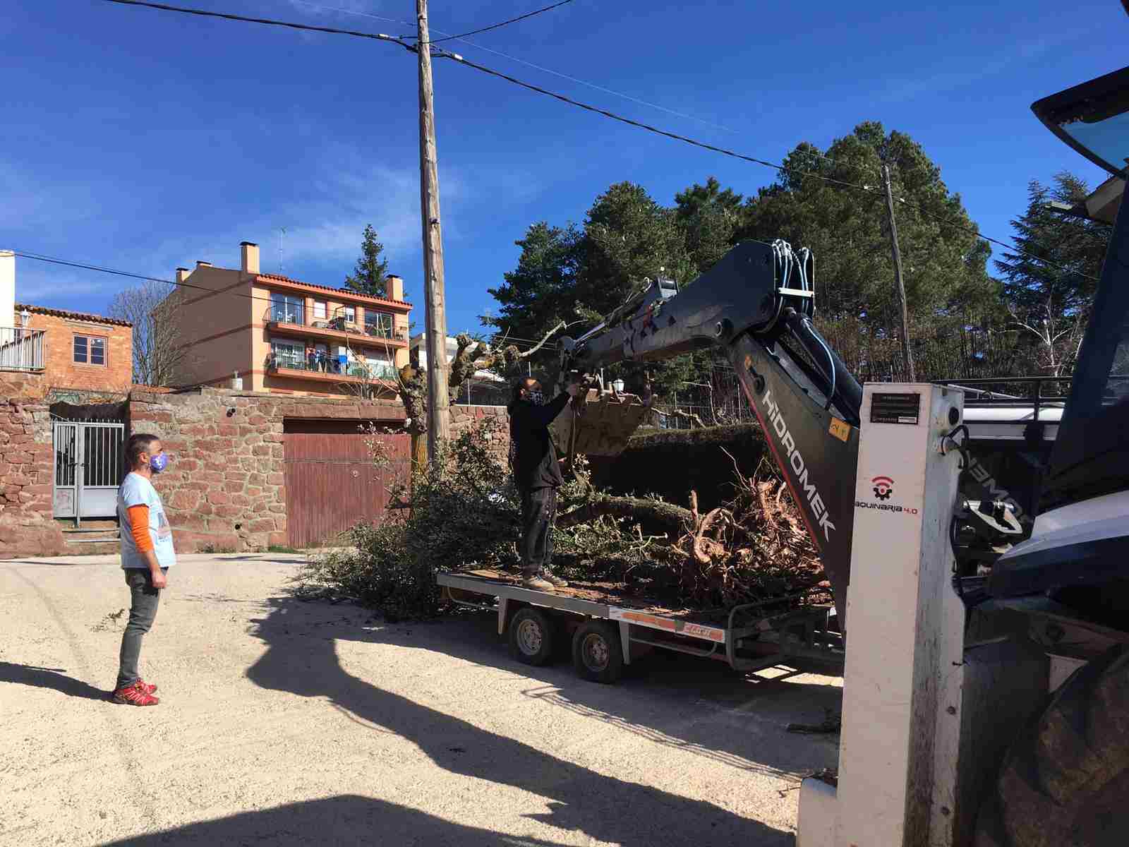 TREBALLS_VEGETACIO_PATI (1)