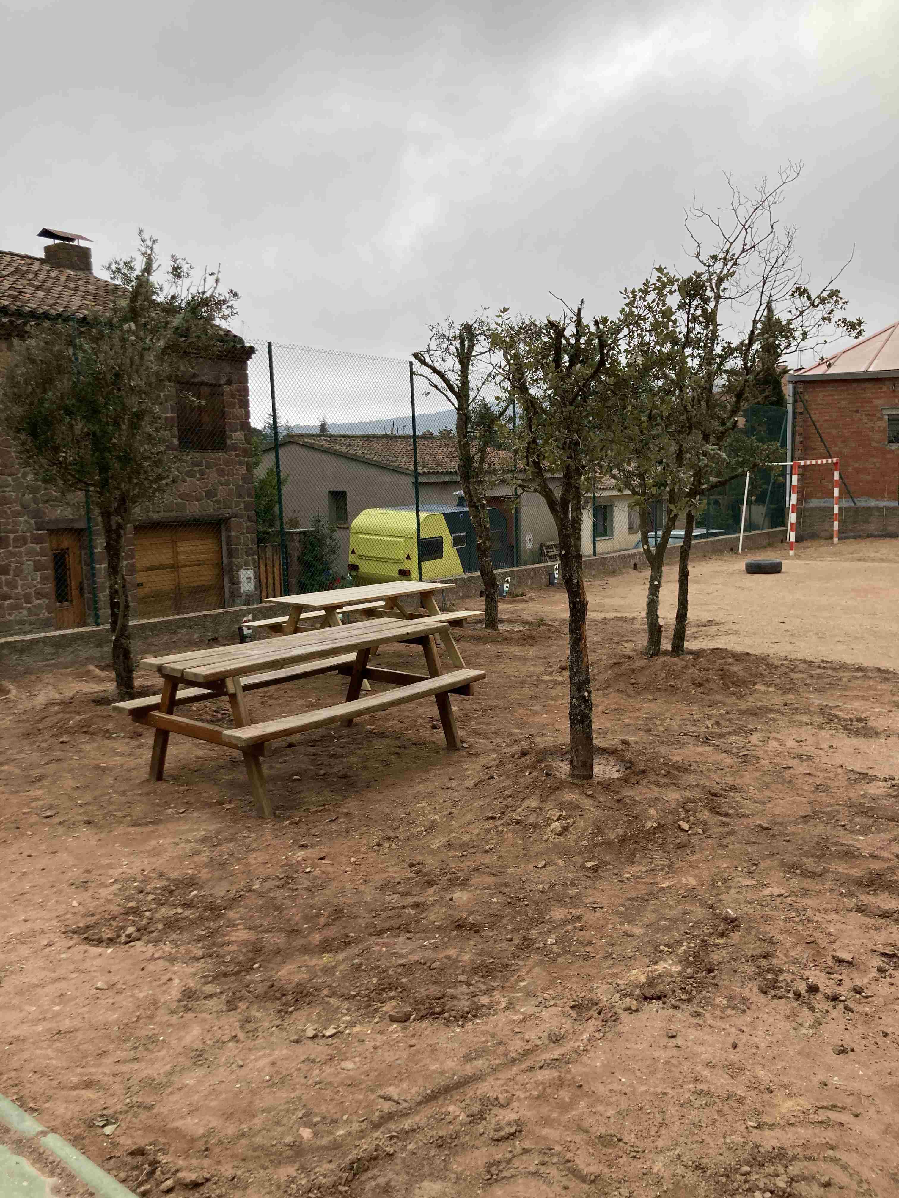 TREBALLS_VEGETACIO_PATI (3)