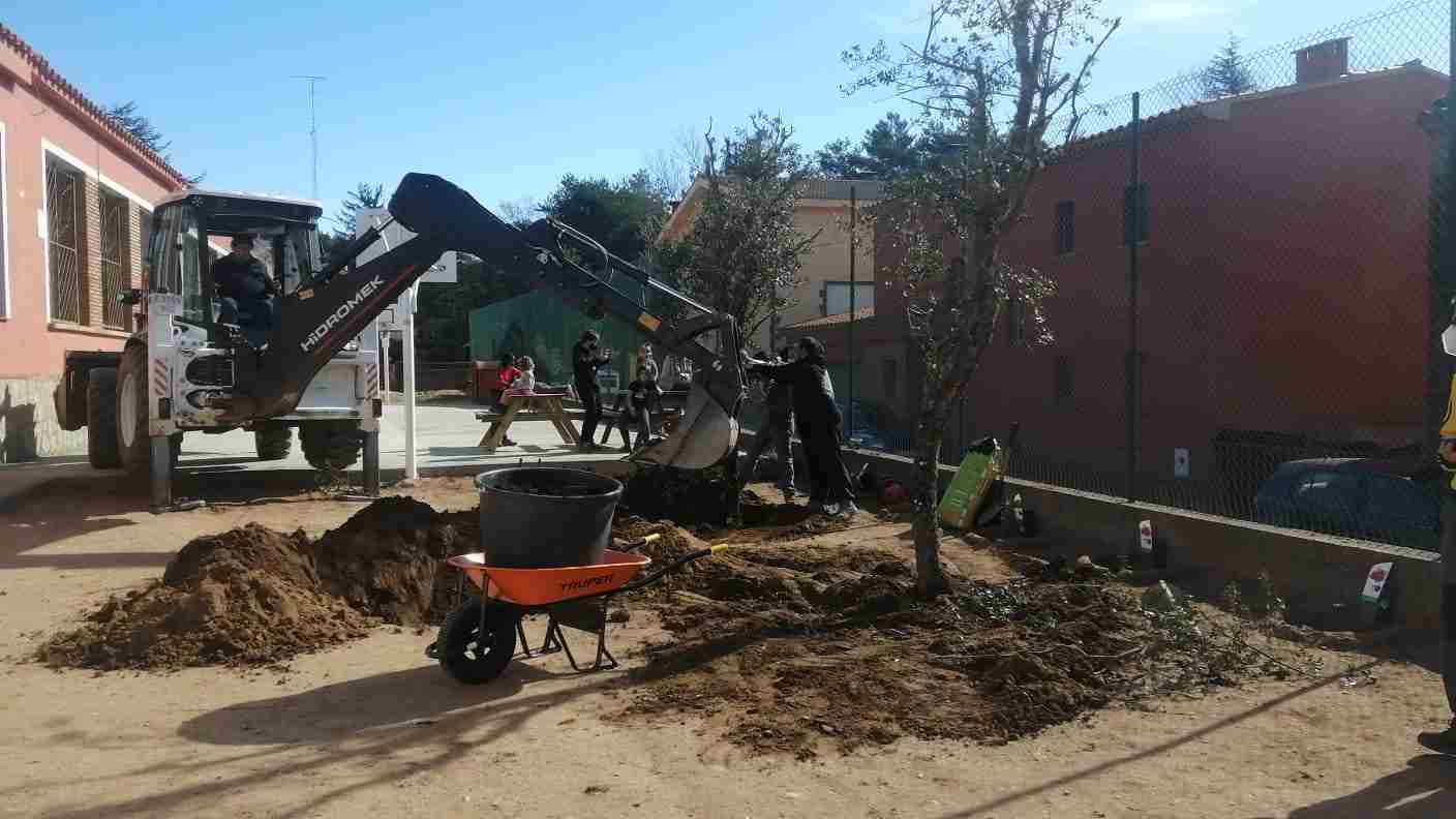 TREBALLS_VEGETACIO_PATI (5)