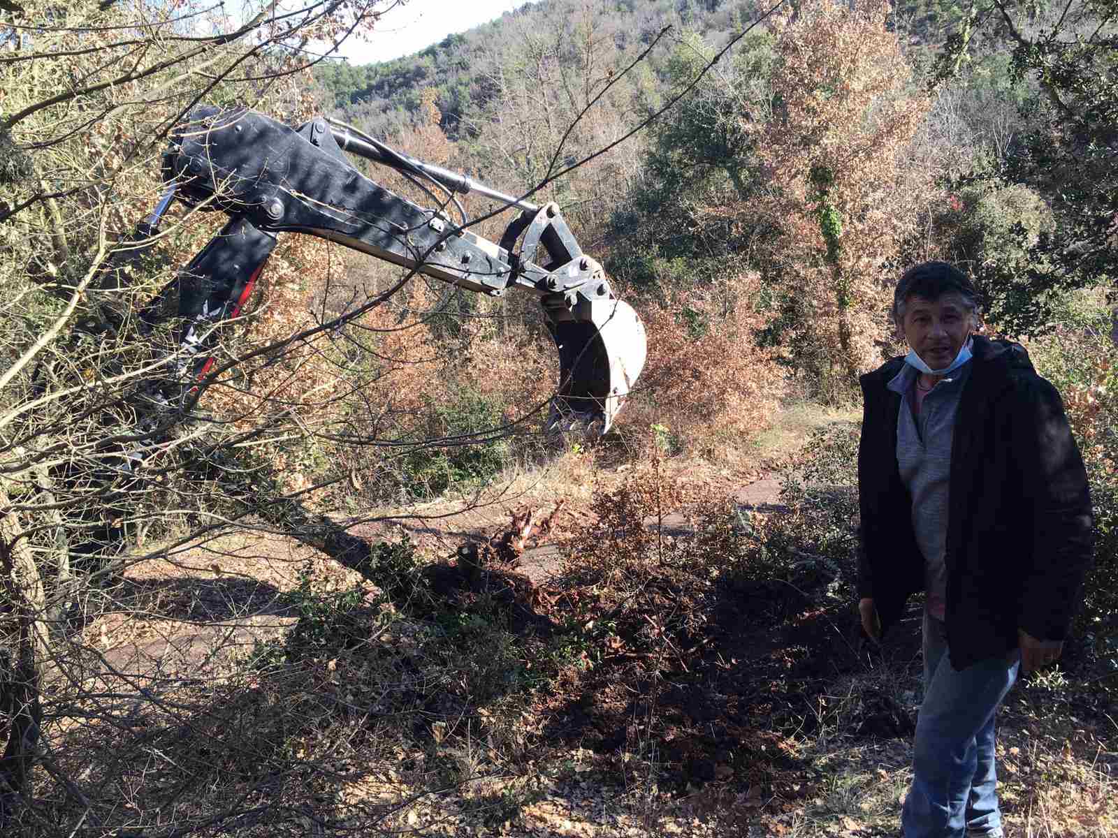 TREBALLS_VEGETACIO_PATI (8)