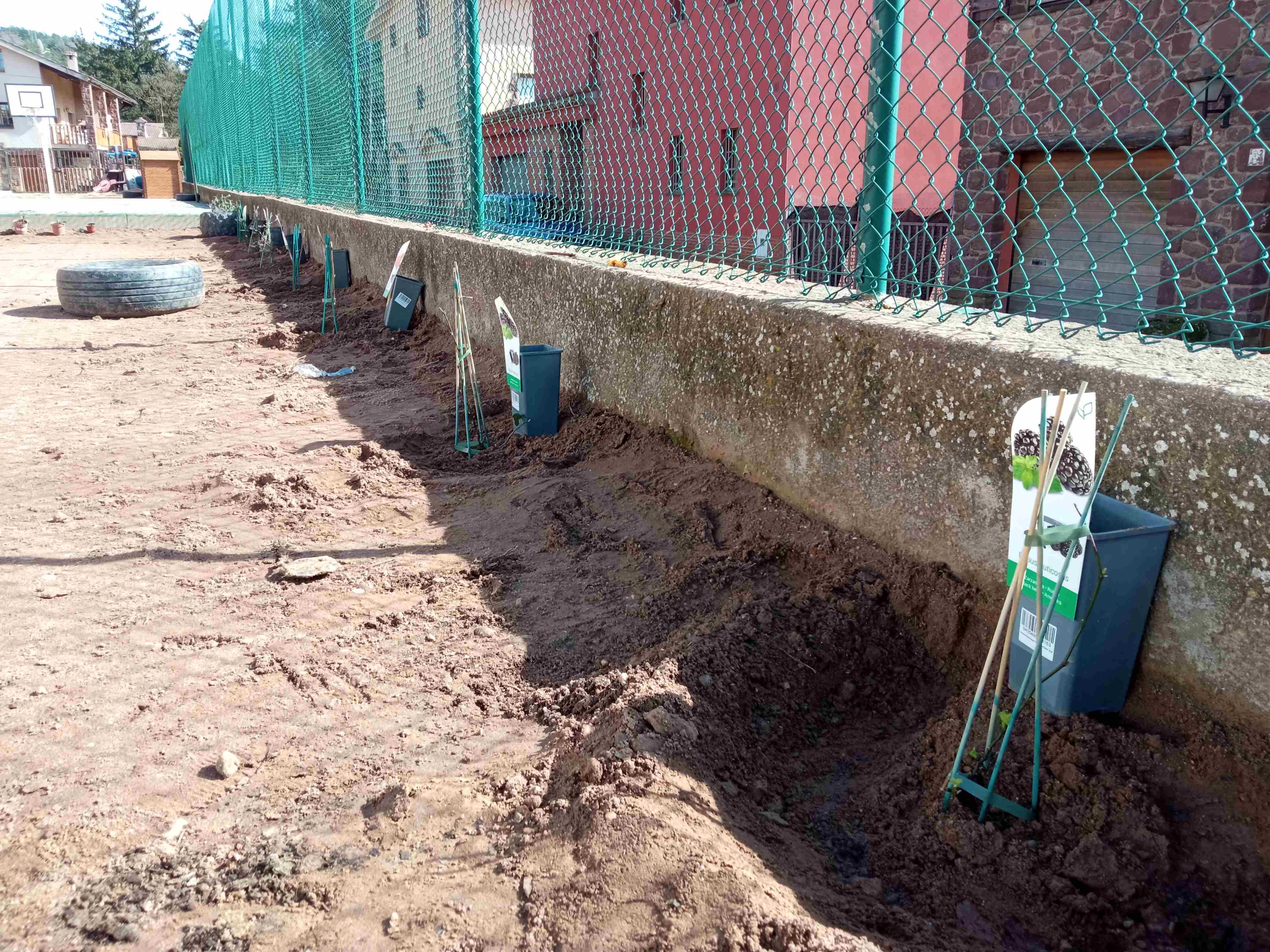 IMG_20210216_134103(1)