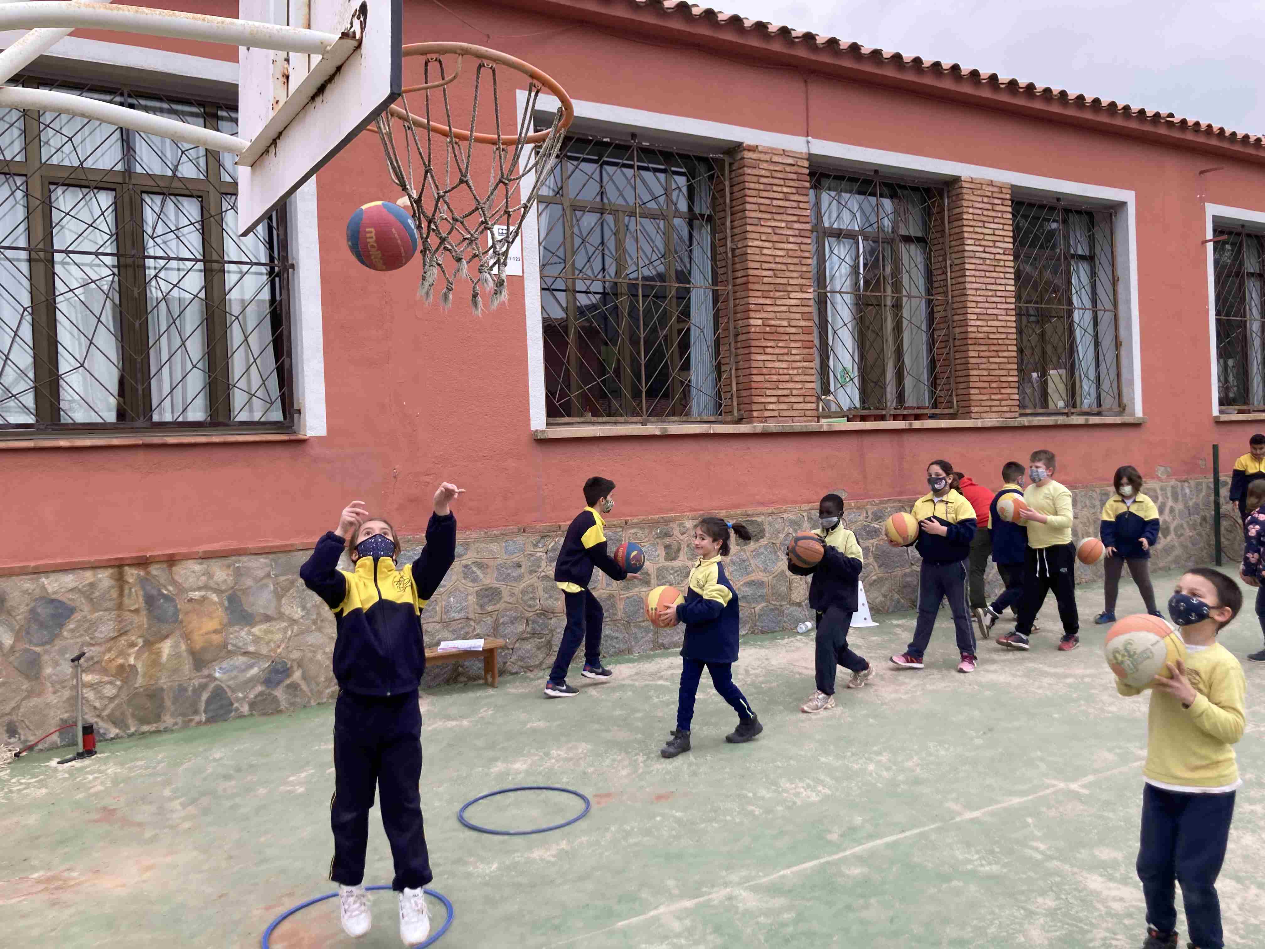 basquet (12)