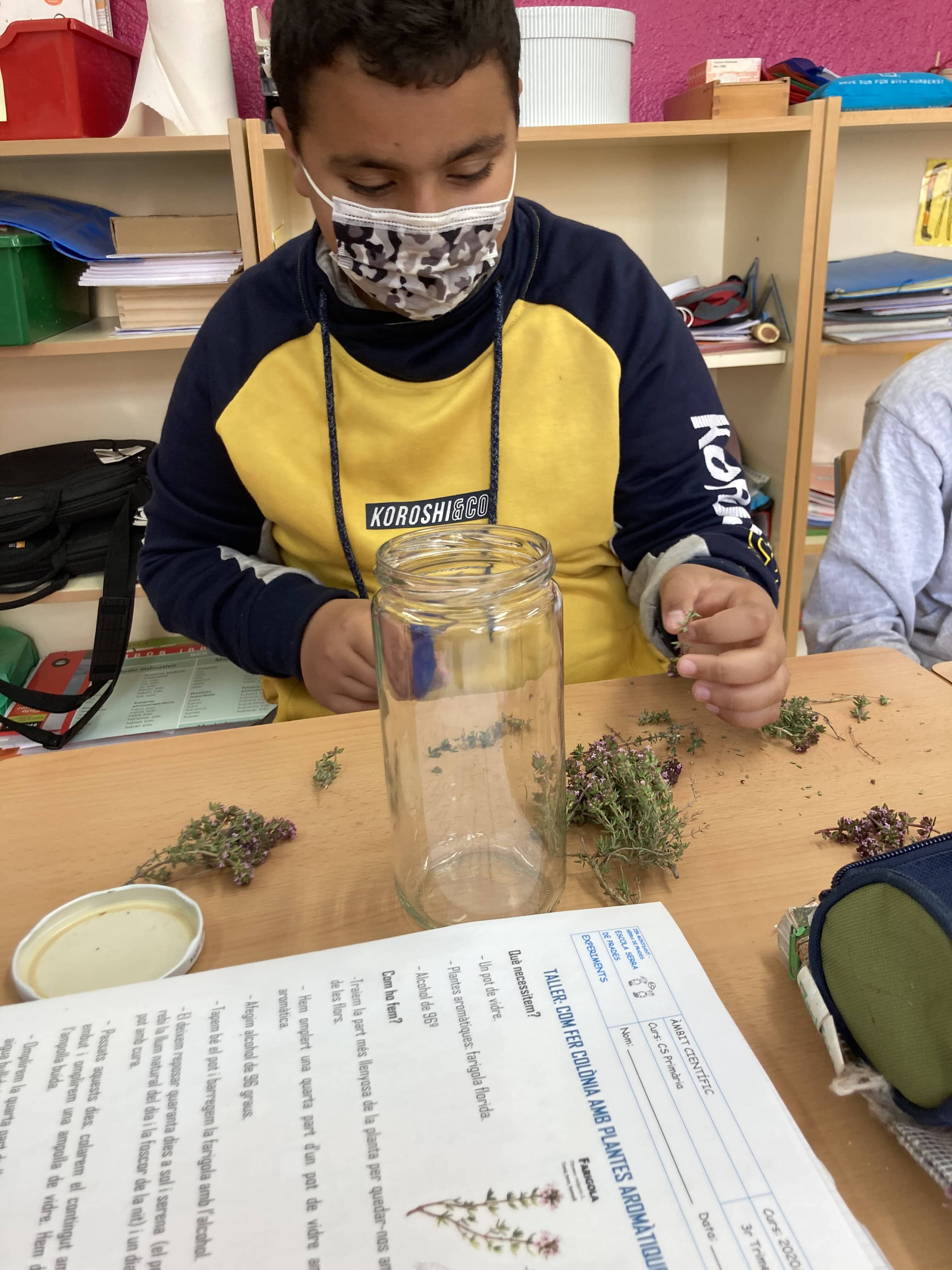 converted-herbes remeieres (4)