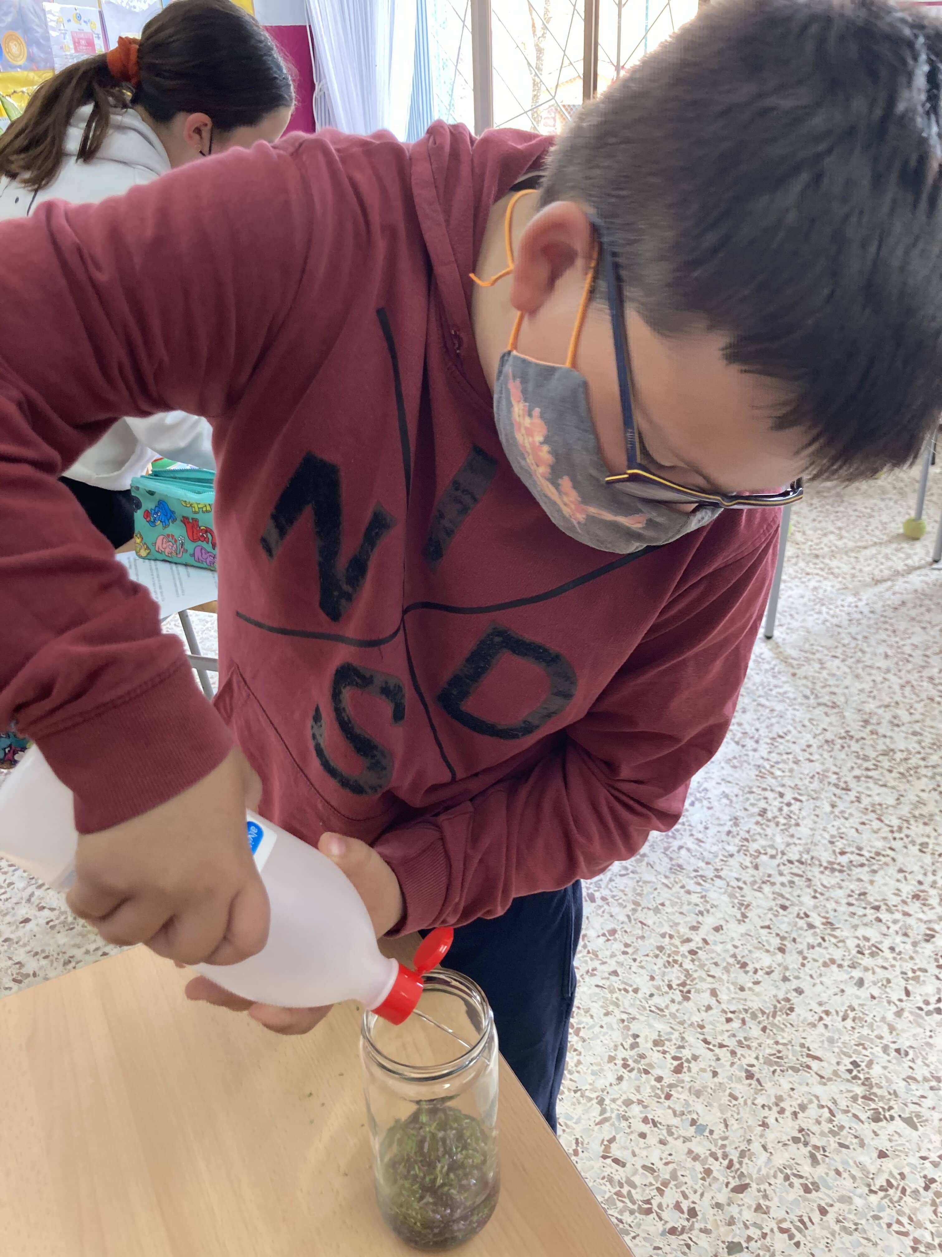 converted-herbes remeieres (5)