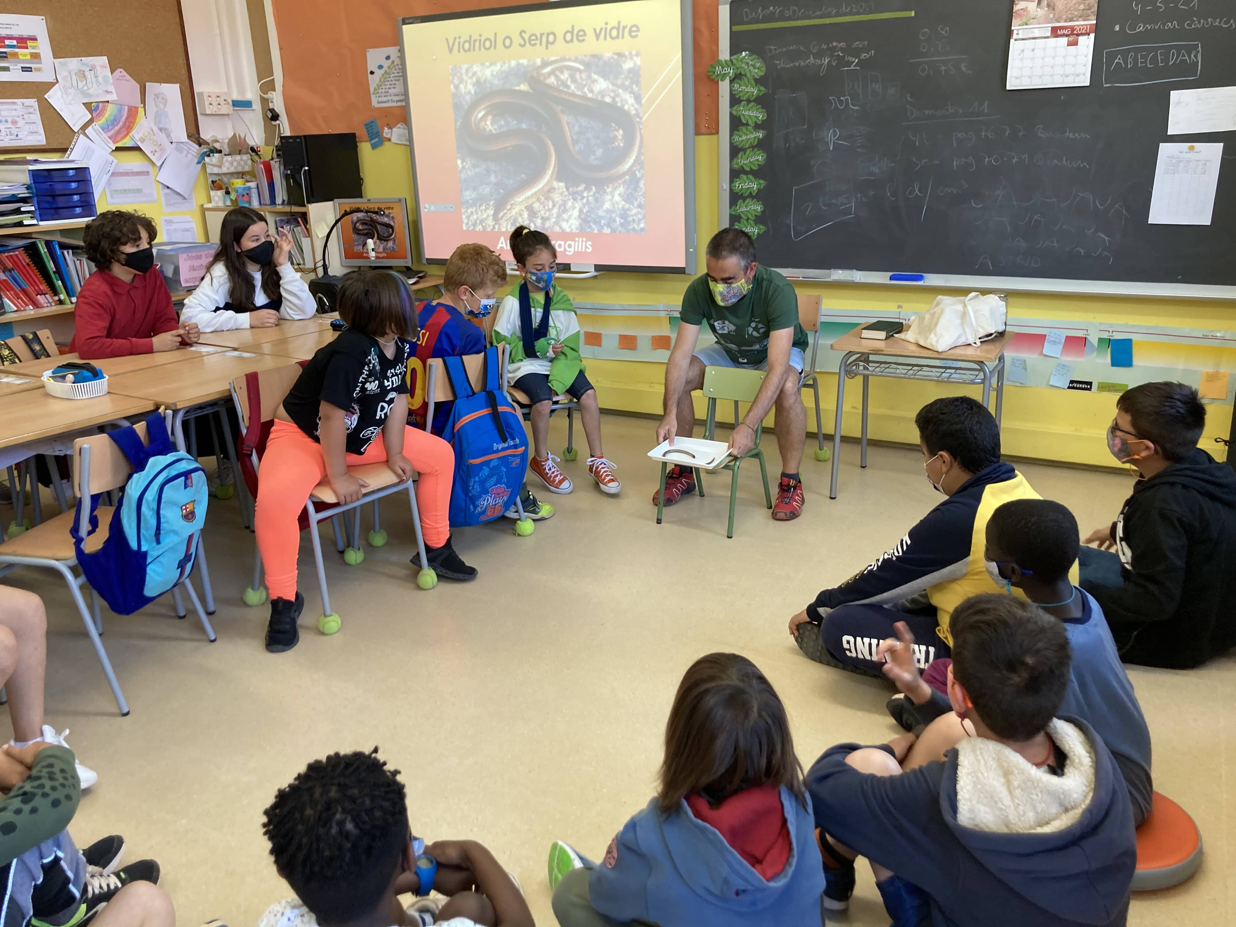 converted-taller reptils (1)