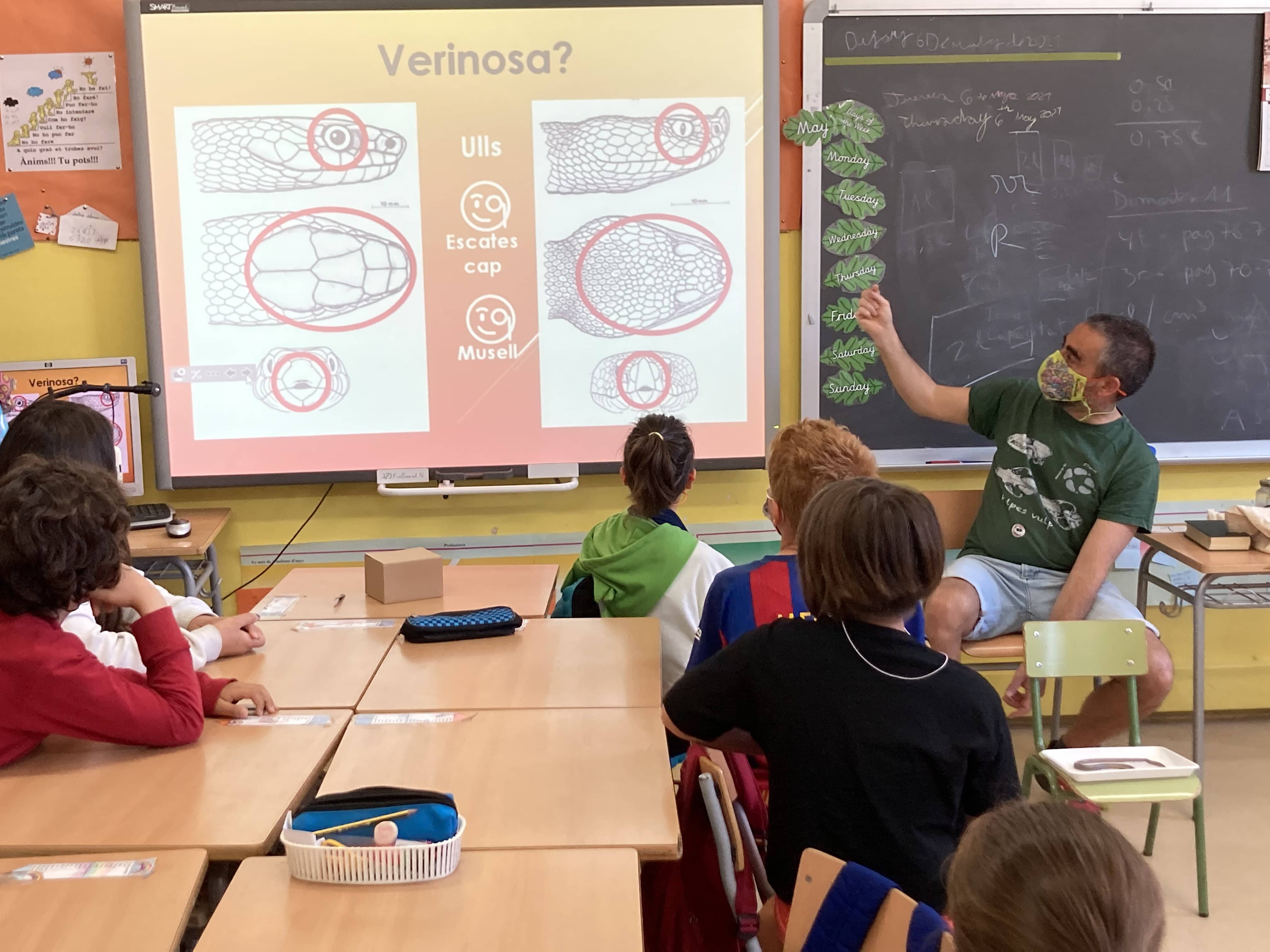 converted-taller reptils (2)