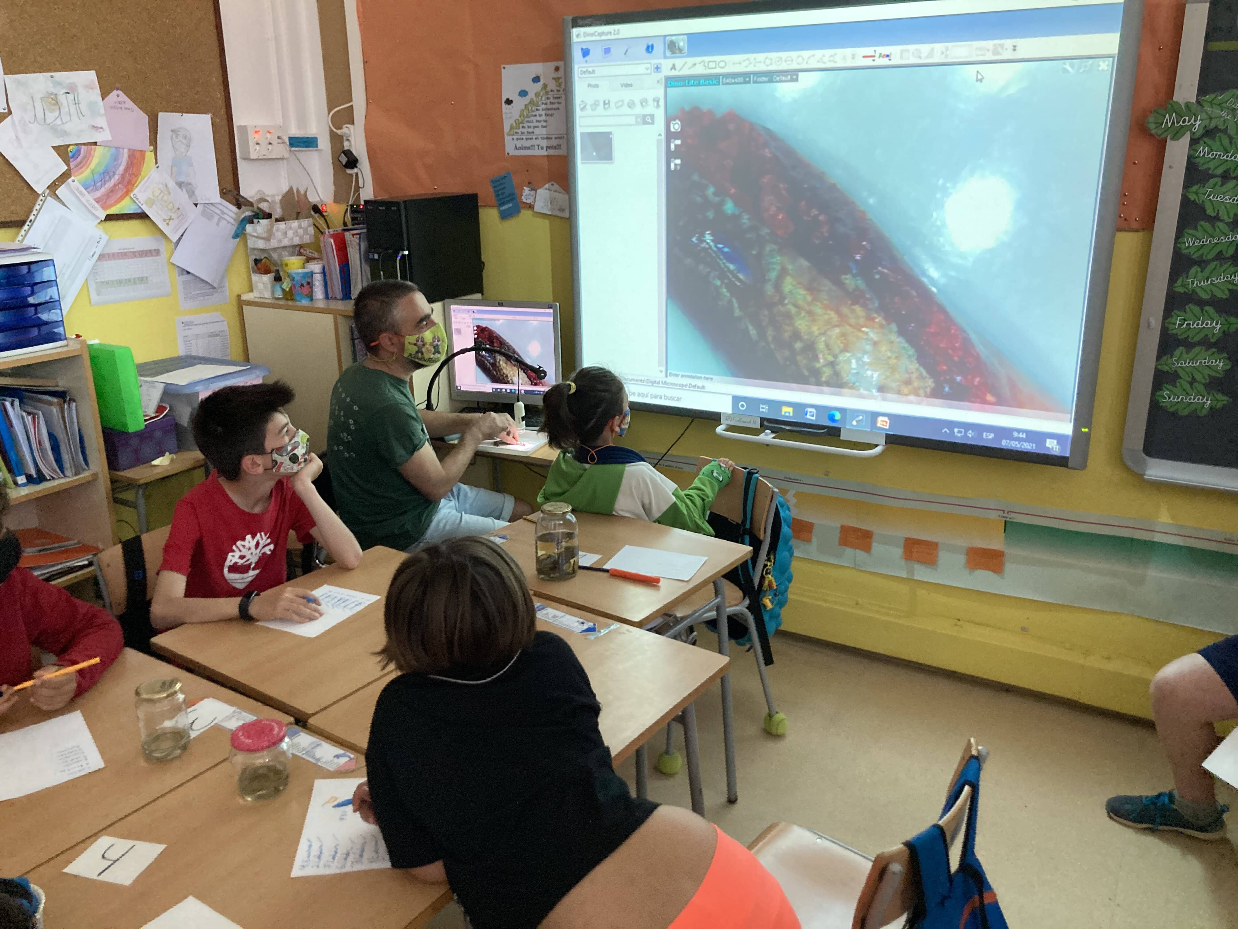 converted-taller reptils (6)