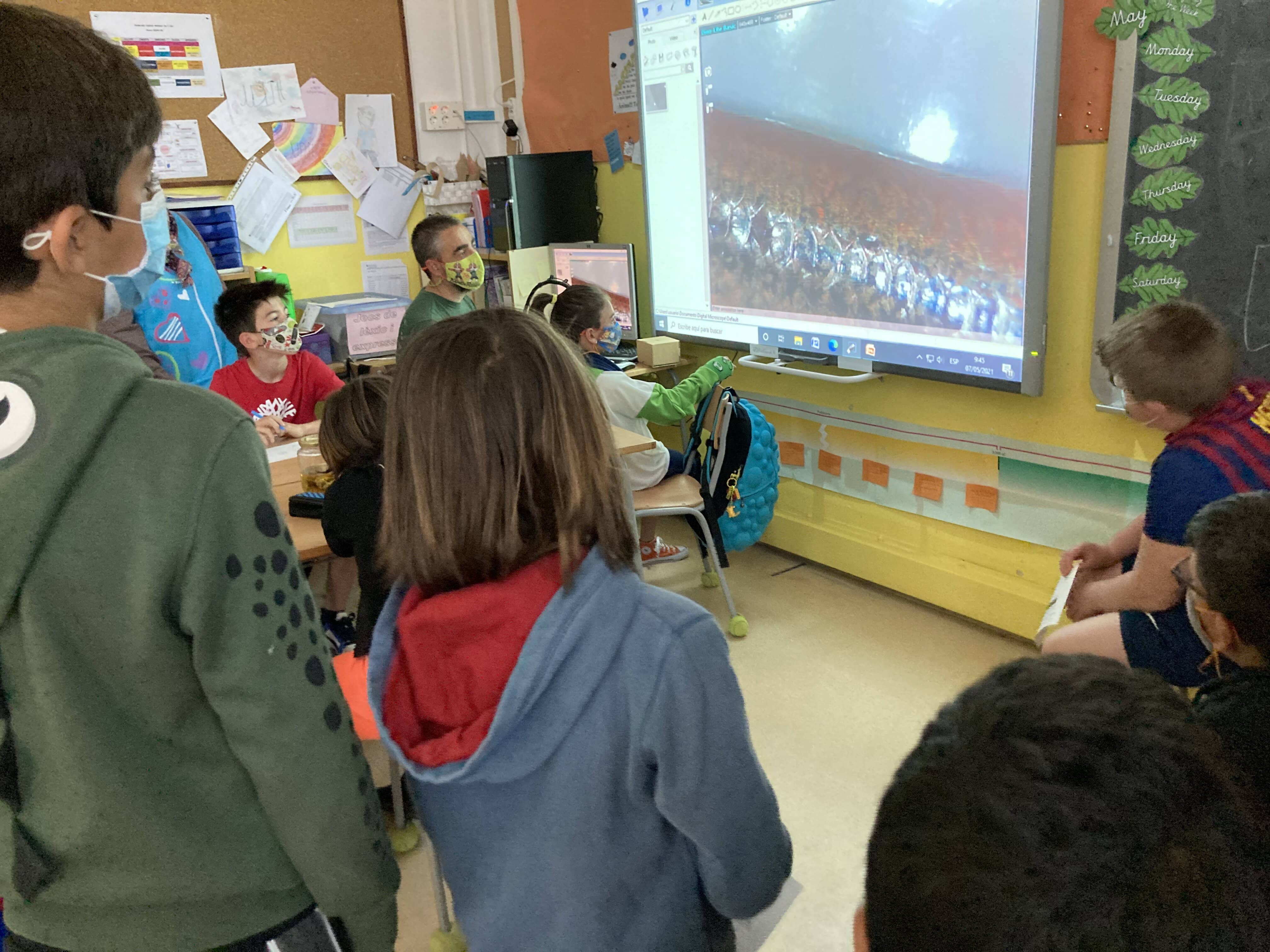 converted-taller reptils (8)