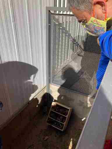 0dc46caf-bd13-4ed1-857b-97116267b309