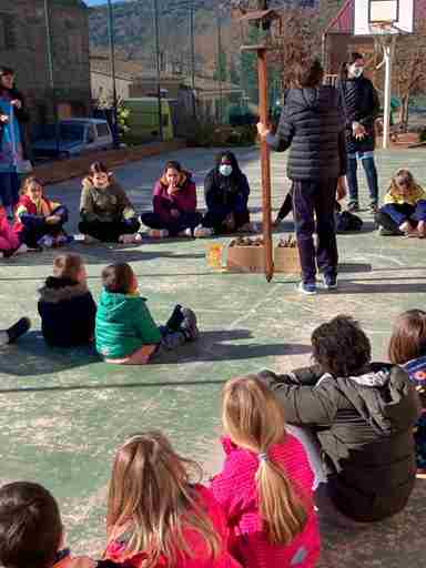 b5dc9ccb-8b73-4504-a1a4-e8371e31252c