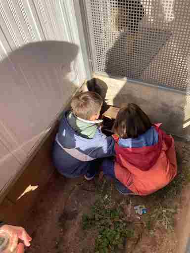 d82c1948-b459-4eef-aadc-f9af1ed61e70