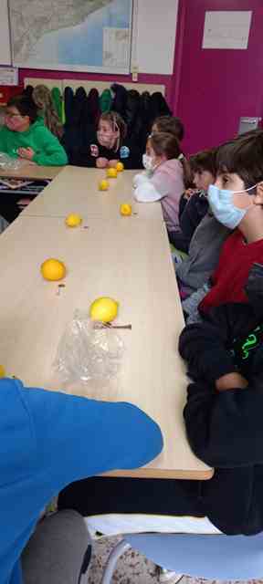 d5e5c779-c28f-4964-9f57-72bace108977