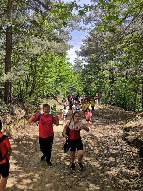 68d2c734-6968-4d18-86bc-097903527d3d