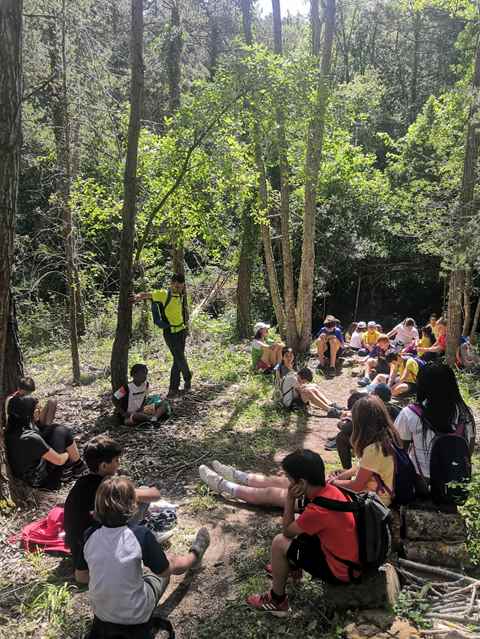 84303c83-e2e5-4bcc-9fbe-c90bd134b4a2