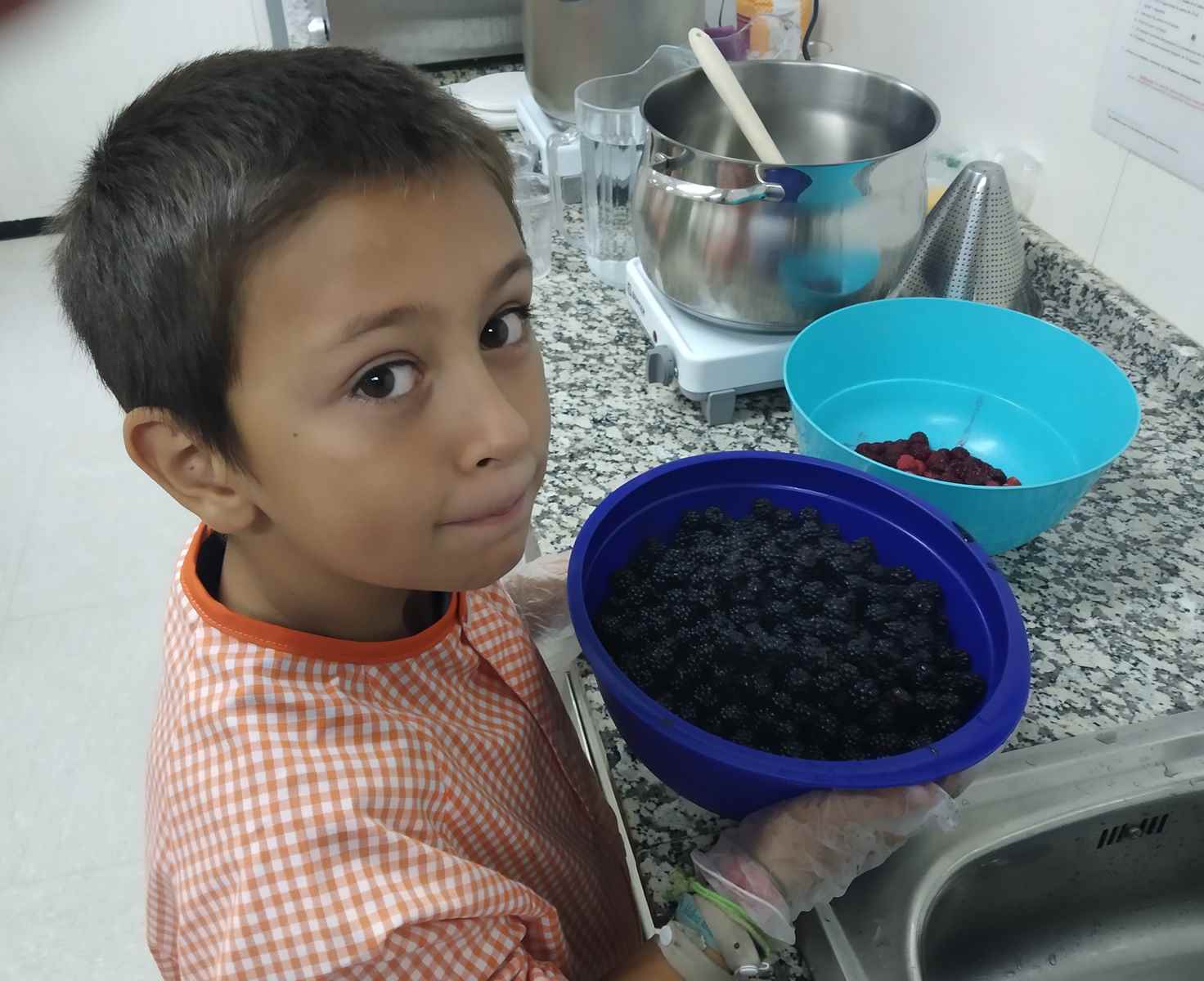 primers dies hort (18)