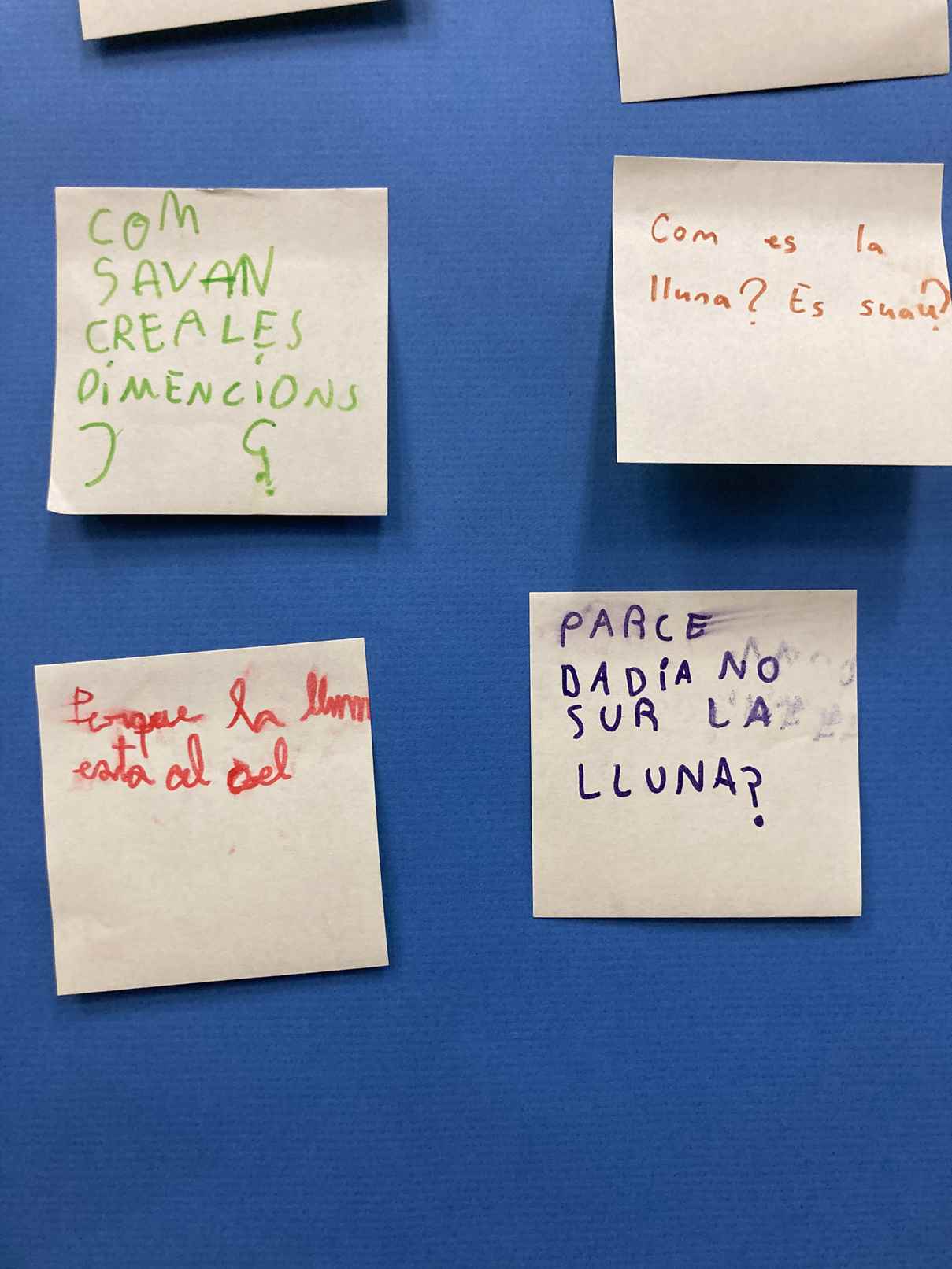 cel apadrinament (14)