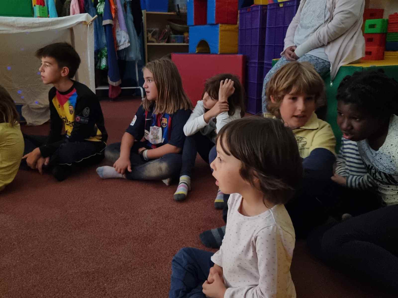 cel apadrinament (6)