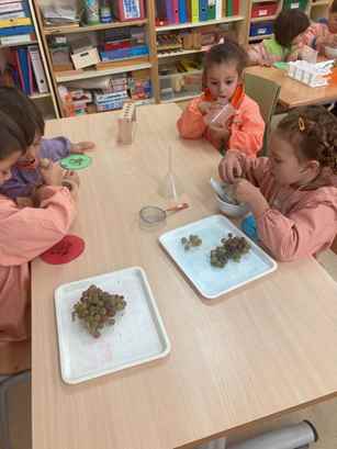 experiment raim (11)