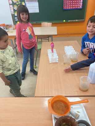 experiment raim (14)