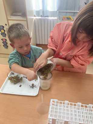 experiment raim (15)