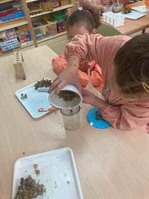 experiment raim (16)