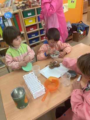 experiment raim (17)