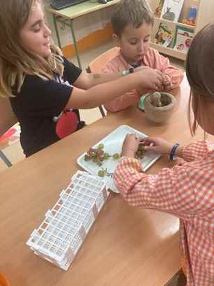 experiment raim (18)