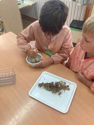 experiment raim (19)