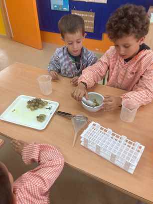 experiment raim (20)