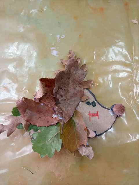 tardes setembre 4a set (10)